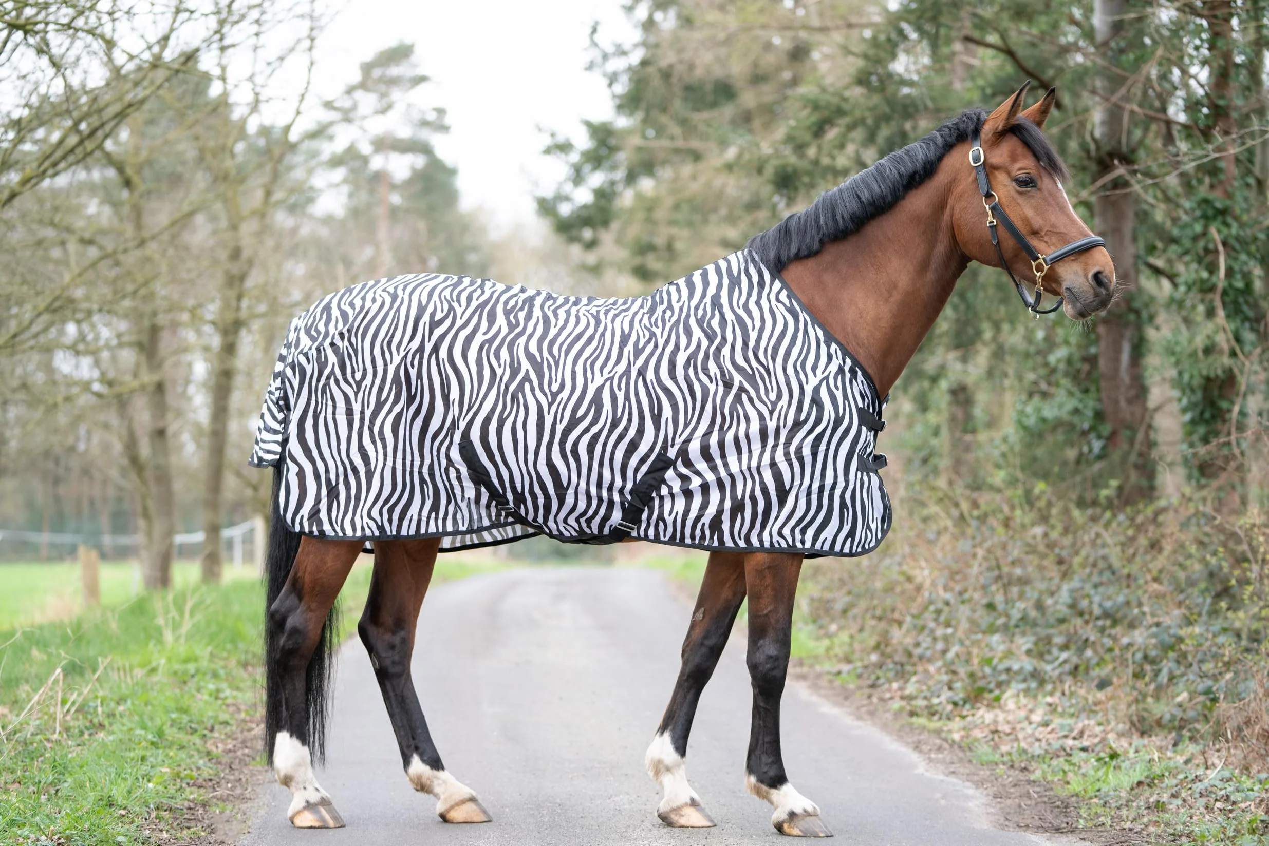 HKM Zebra Manta Anti-Moscas con cinturón Cruzado Blanco/Negro 125