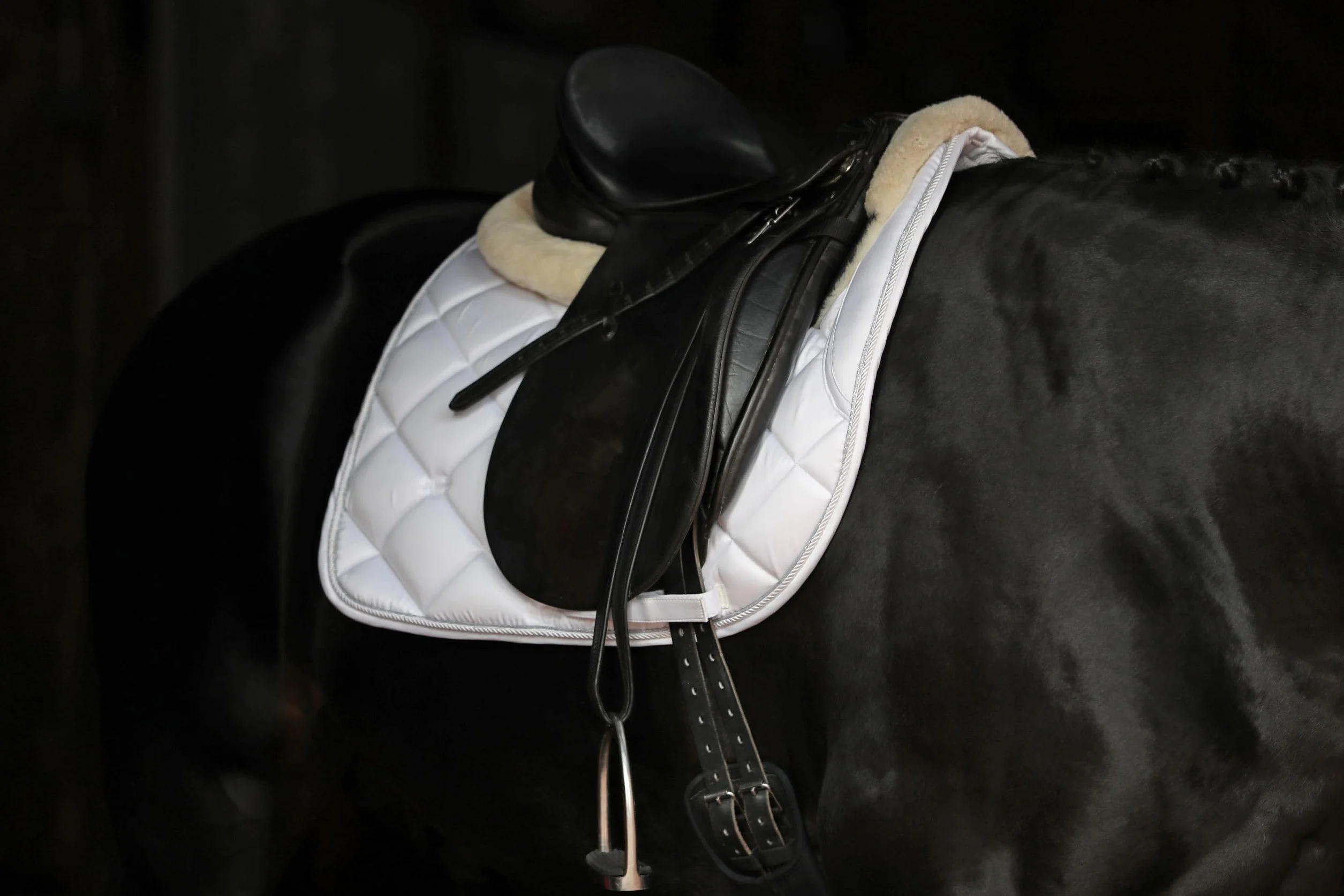 Covalliero Manta Empara White, VS