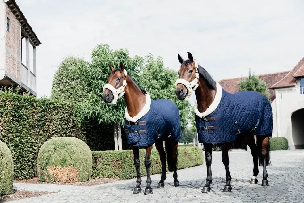 kentucky Horse Protectora de Torneo, Talla 155 Navy