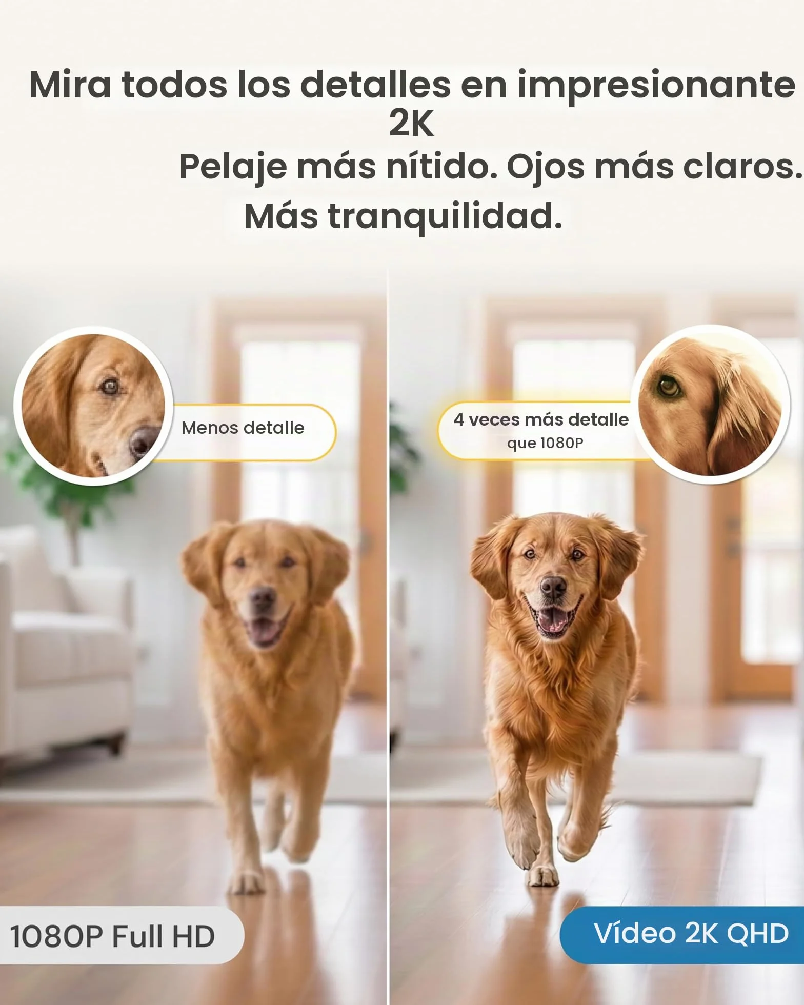 Furbo Mini cámara de 360º para mascotas, desbloquea la cámara inteligente y las funciones inteligentes con plan de pago: seguridad para el hogar y alertas de seguridad para perros y gatos, dispensador