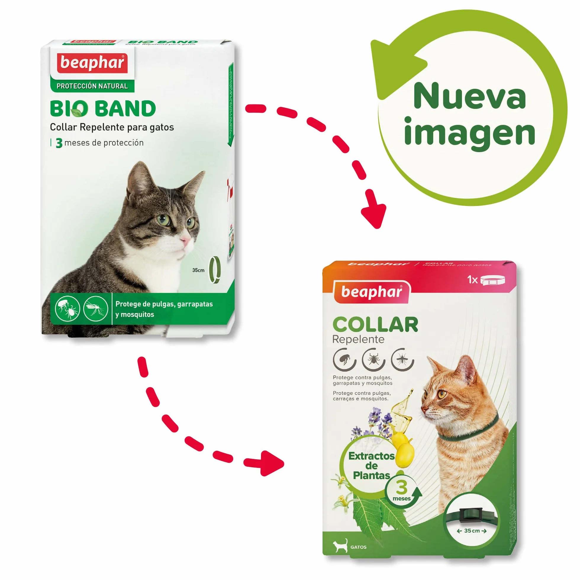 Beaphar Collar Repelente Natural para Gatos - 3 Meses de protección Natural contra garrapatas, pulgas y Mosquitos - para Todo Tipo de Gatos 35CM