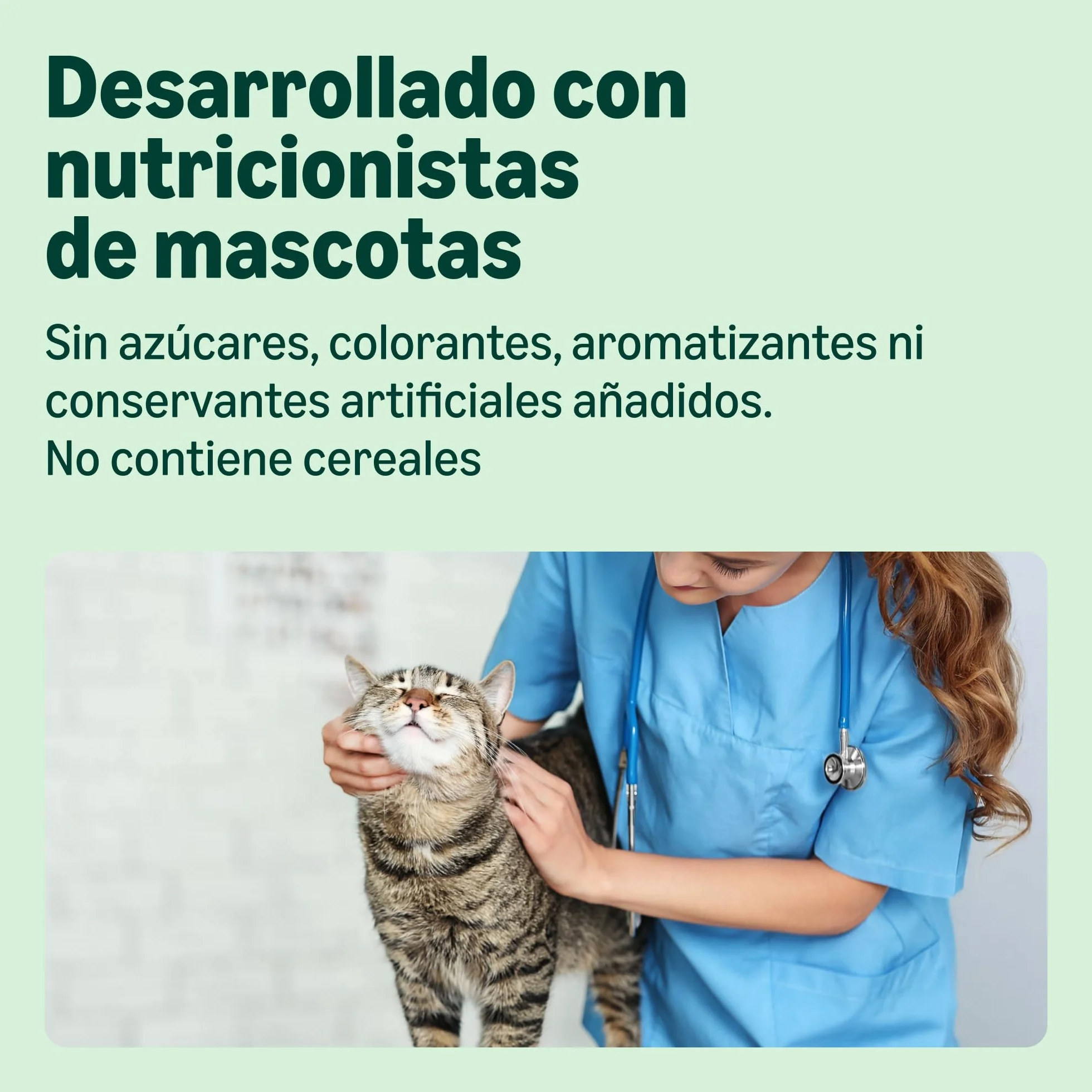 Comida Húmeda para Gatos by Amazon, Paté Mixto, 100g, Paquete de 32