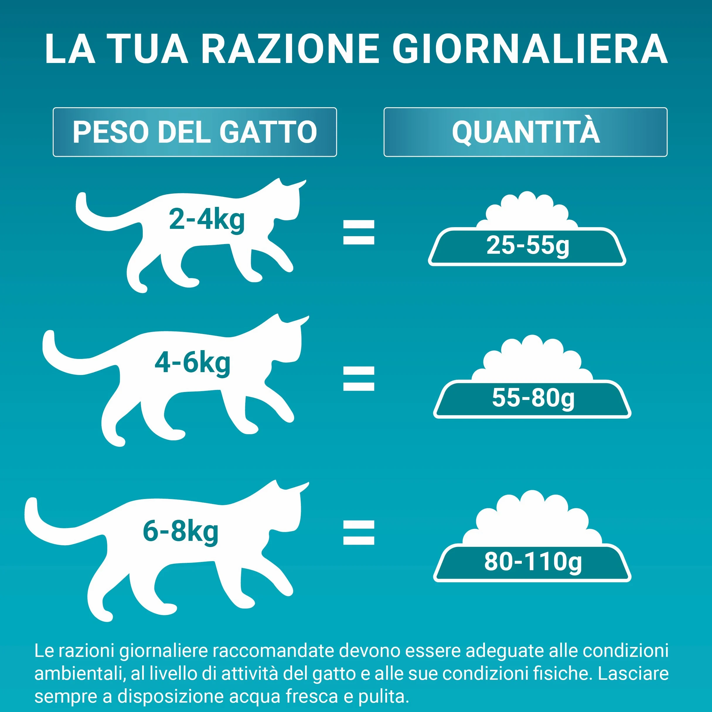 Purina One Bifensis Indoor - Pienso para Gatos Adultos, 1 Saco de 9,75 kg | Pienso para gatos adultos con pavo y cereales integrales