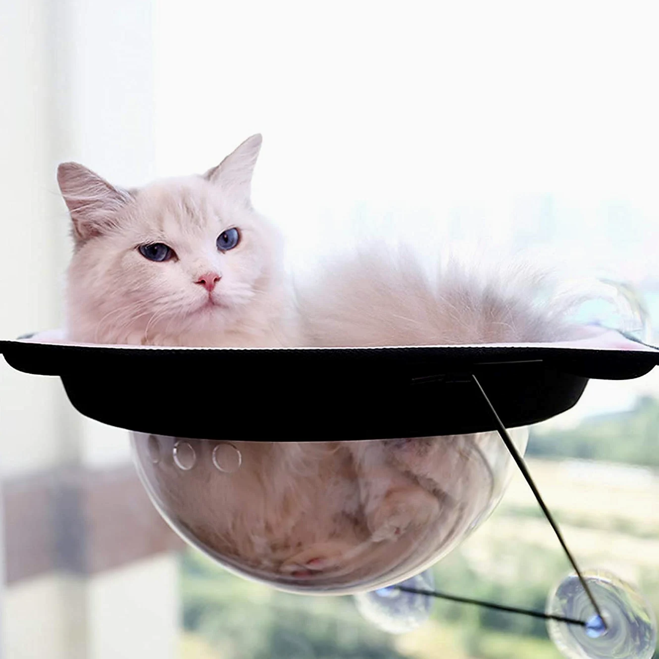 Hamaca de Gato para VentanaCama para gatos, hamaca para gatos, cama colgante para mascotas, perchas para ventanas de gatos, asiento para gatos, hamaca para gatos con ventosa de 37 x 37 cm, duradera pa