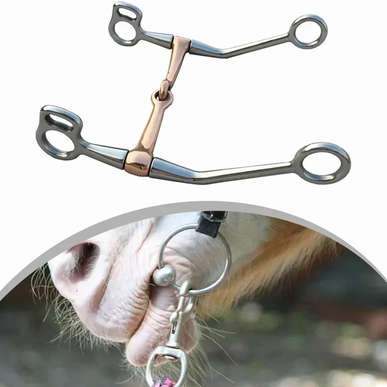 Caballo bit Broca de Caballo de Acero Inoxidable, Broca de Serpiente for mejillas Completa, Tachuela de Caballo de Boca de Cobre, 1 ud.