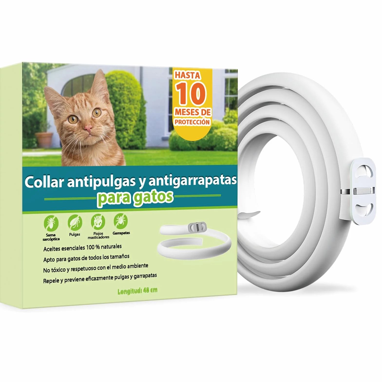 Collar Antiparasitario para Gatos, Collar Antipulgas y Garrapatas Ajustable, Gregado con Aceites Naturales, Impermeable, Apto para Todos Los Gatos,10 Meses de Protección