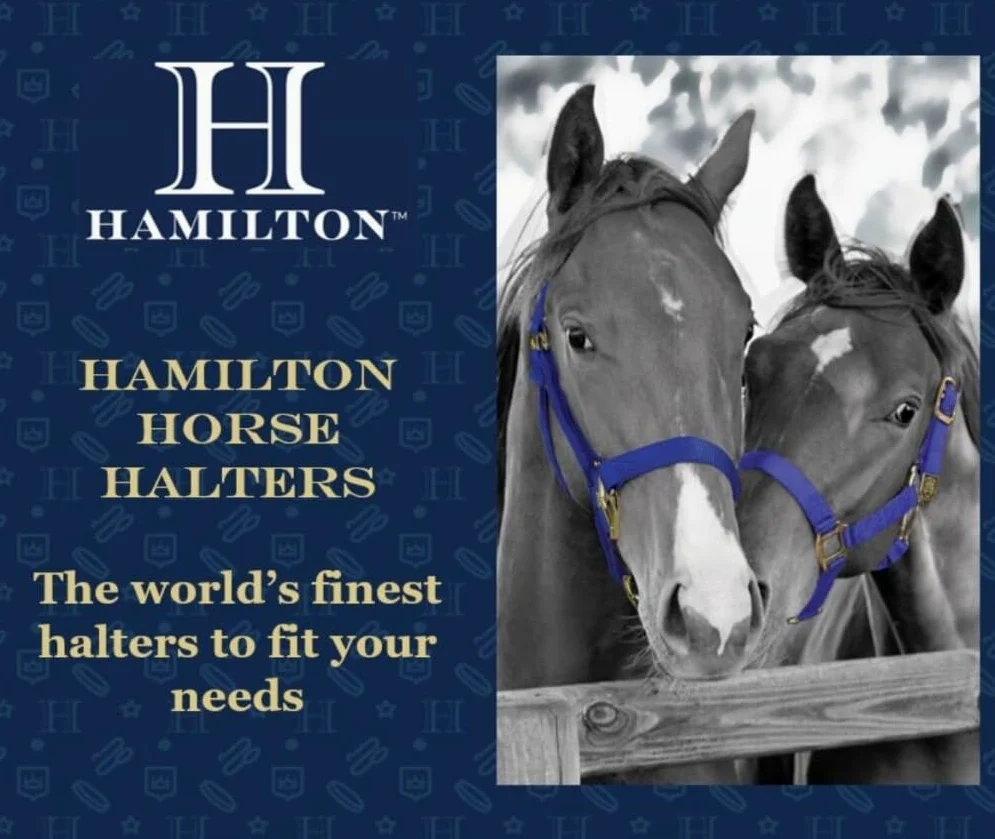Hamilton Cabestro de Nailon de 1 Pulgada con mentón Ajustable, MRC101, Azul Berry, 1"
