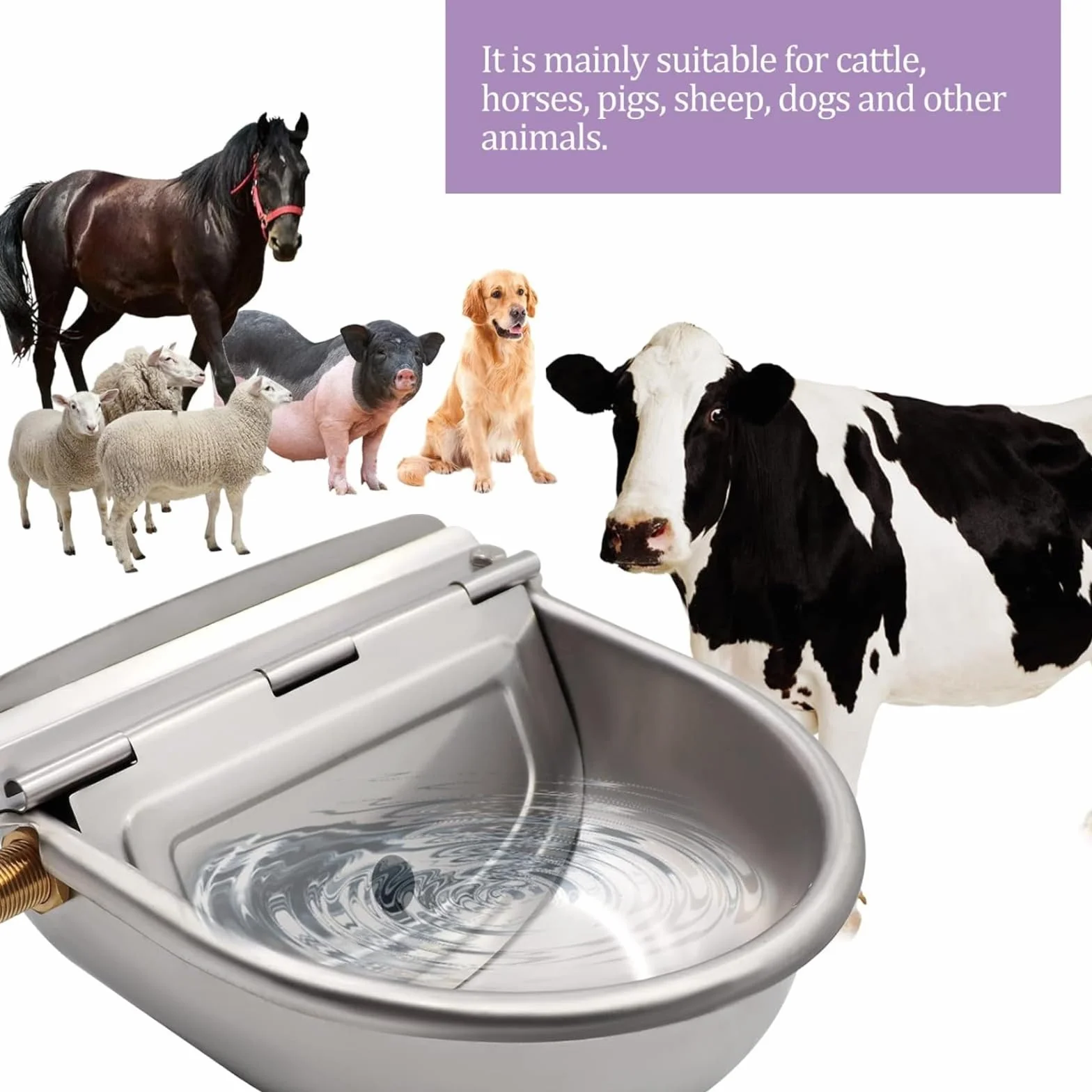 Bebedero para Caballos Automático Bebedero Perro Acero Inoxidable con VáLvula de Flotador de Latón Ajustable de 1/2" y Orificios de Drenaje para Ganado Caballo Vaca Cabra Oveja