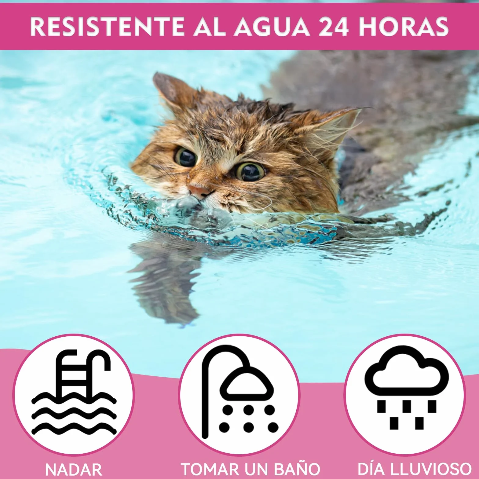 Collar Antiparasitario Gatos, Collar Antipulgas Gatos Natural, Protección 12 Meses Impermeable, Ajustable 48 cm Seguro y Cómodo para Todo Tipo de Gatos (48CM)
