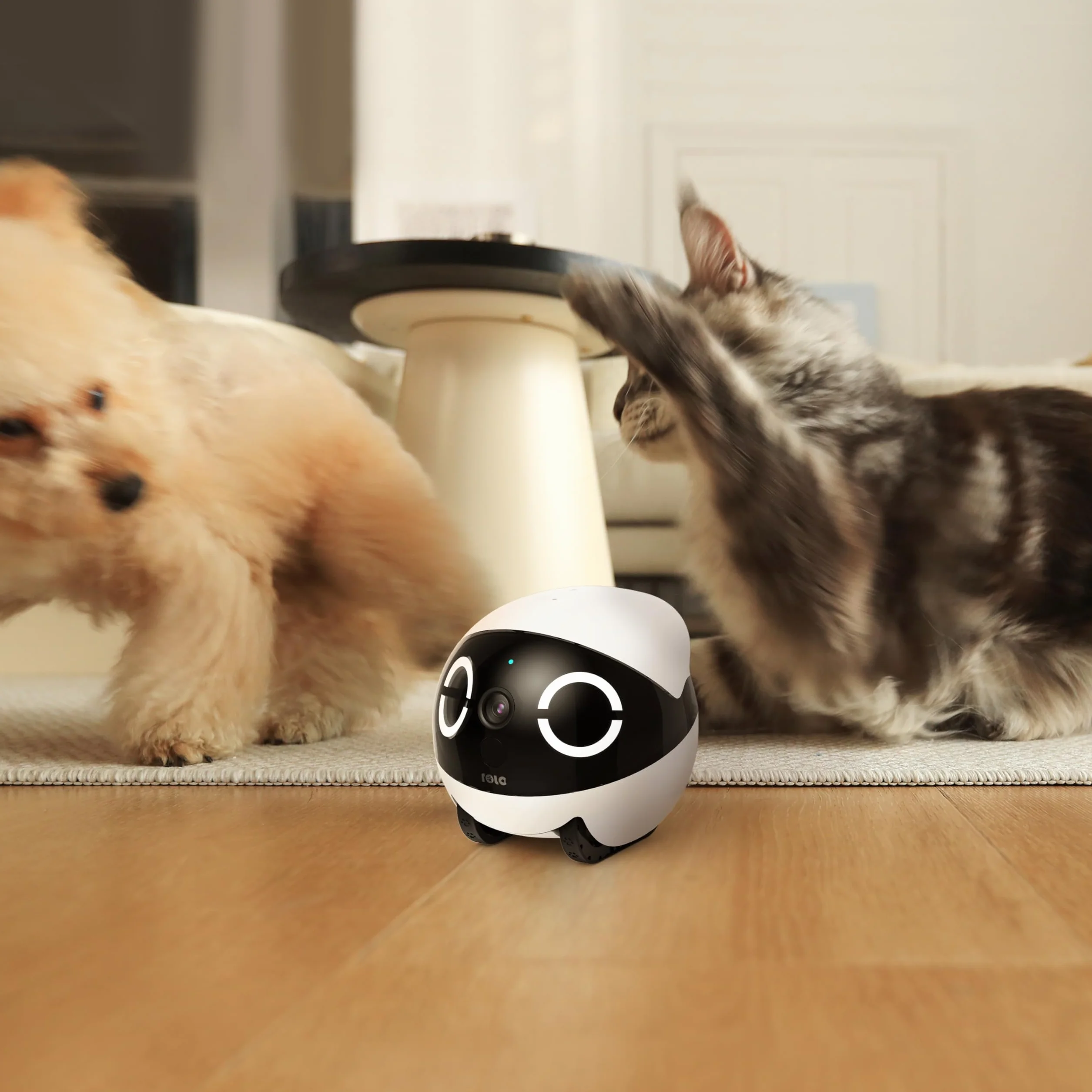 Enabot ROLA - Mini Robot Divertido para Mascotas