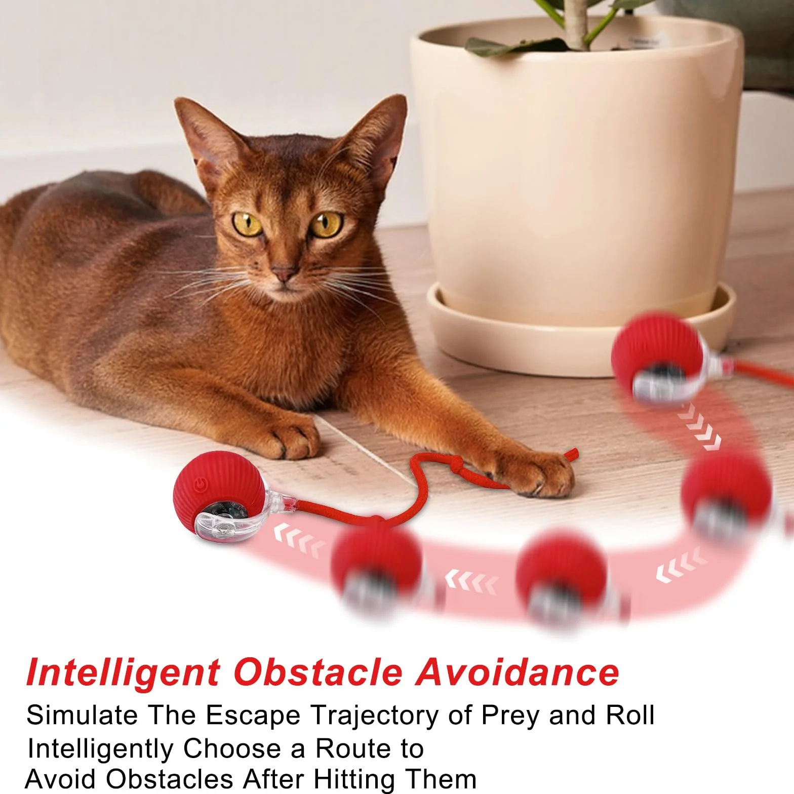 WinGlue 2 Piezas Juguete Interactivo para Gatos, Pelota Eléctrica, Cat Toy Ball, Interactiva Rolling Ball, Automático (Rojo+Verde)