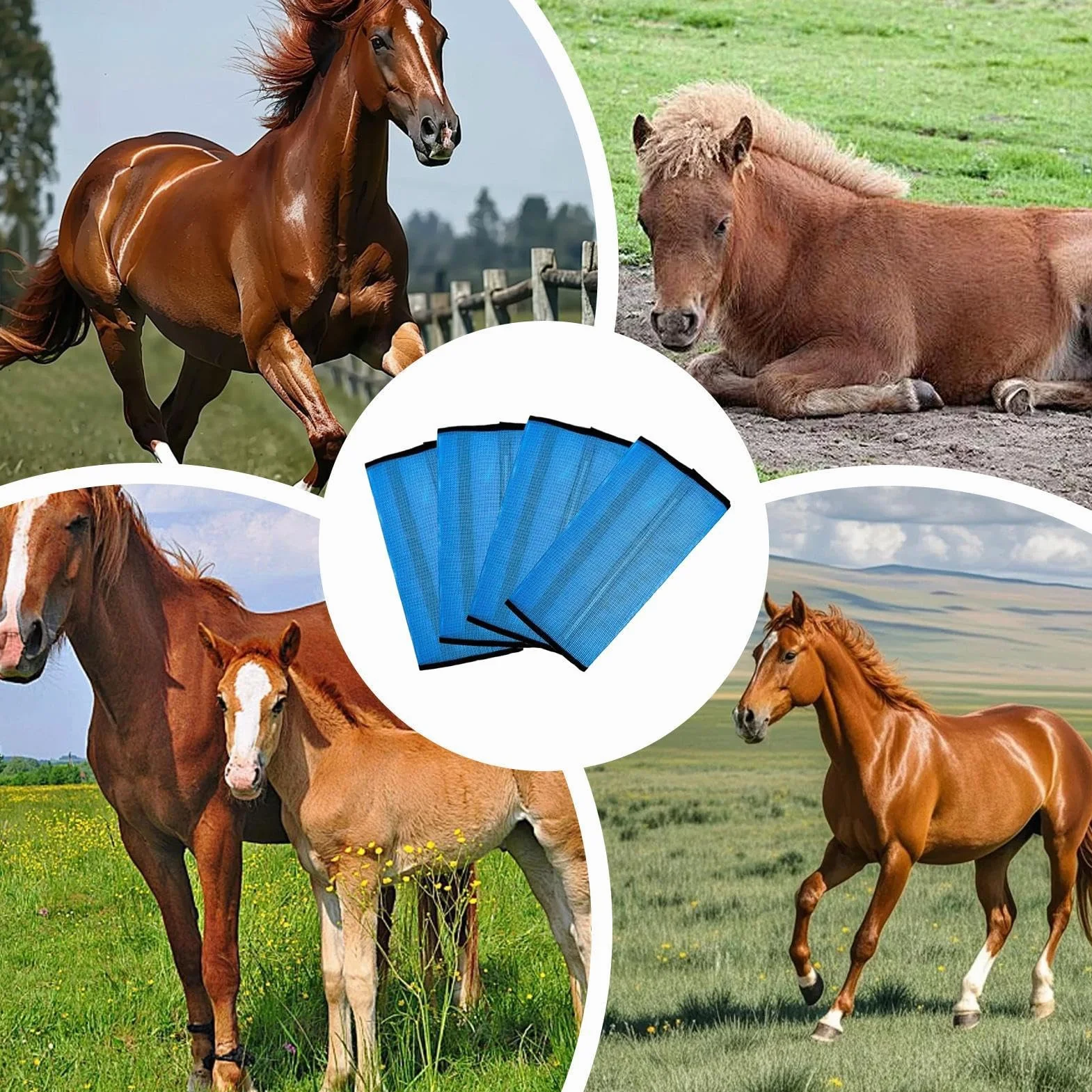 Botas contra moscas para caballos - Leggins de malla fina transpirable de 400 g | Protectores de malla ajustables y transpirables, 4 piezas, para pastos, carreras al aire libre, entrenamiento, competi
