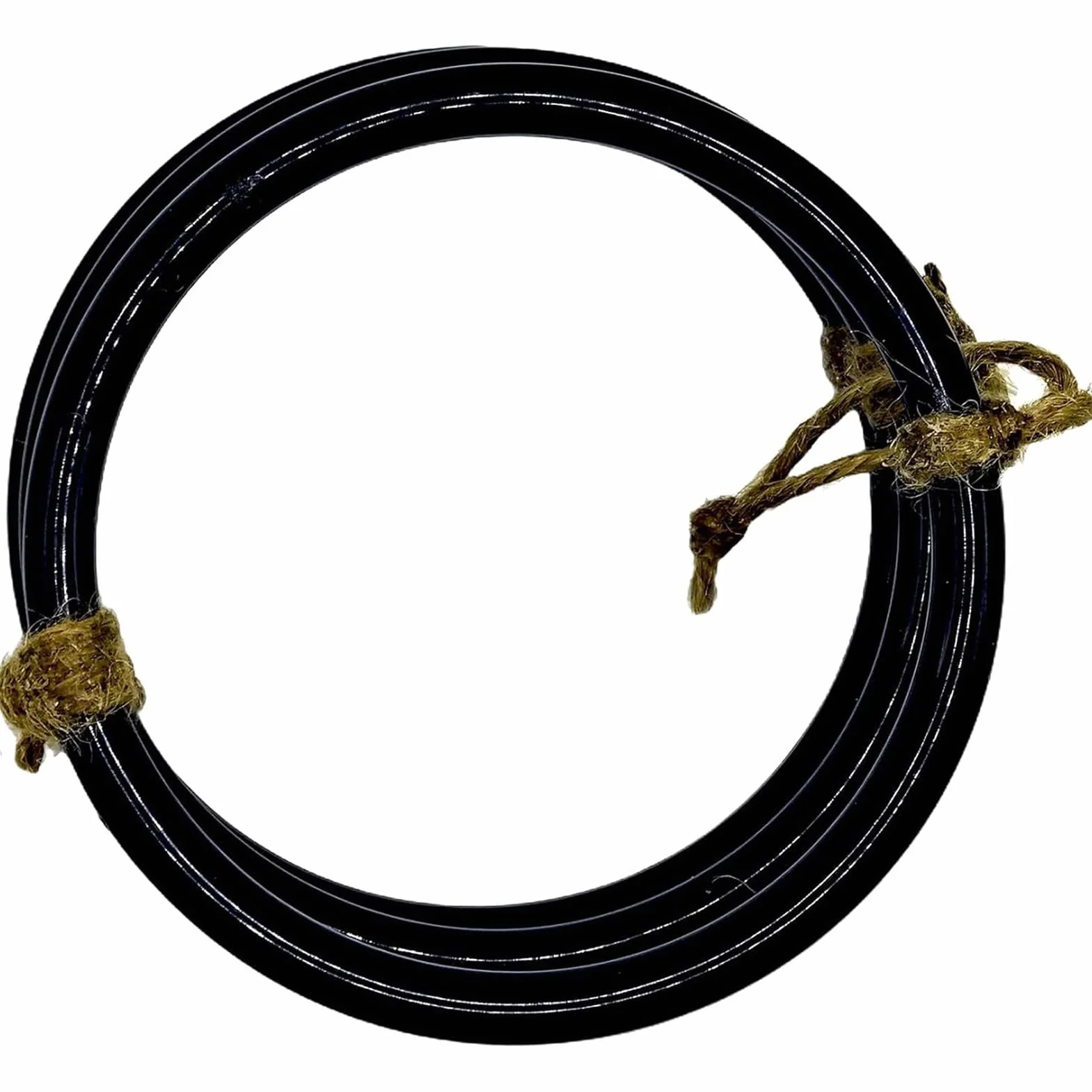 Juguetes De Enriquecimiento para Serpientes - Accesorios para Hábitat De Reptiles,con Aro Y Cadena Juego Interactivo para Anfibios Y Hábitat Interior para Mascotas