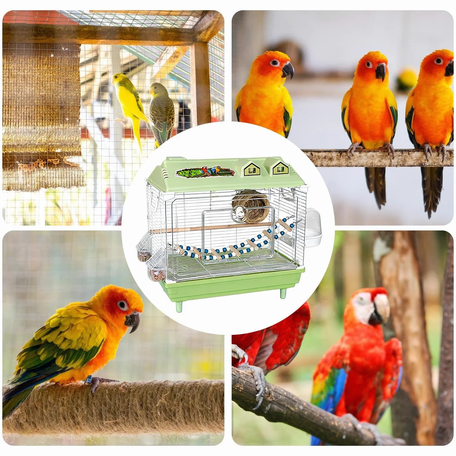 Jaula para Aves y Pájaros Transportín Transparente Portátil para Cacatúas | Jaula para Canarios con de Madera Para Interior Agapornis Pinzones Cacatúa Conuro Guacamayos