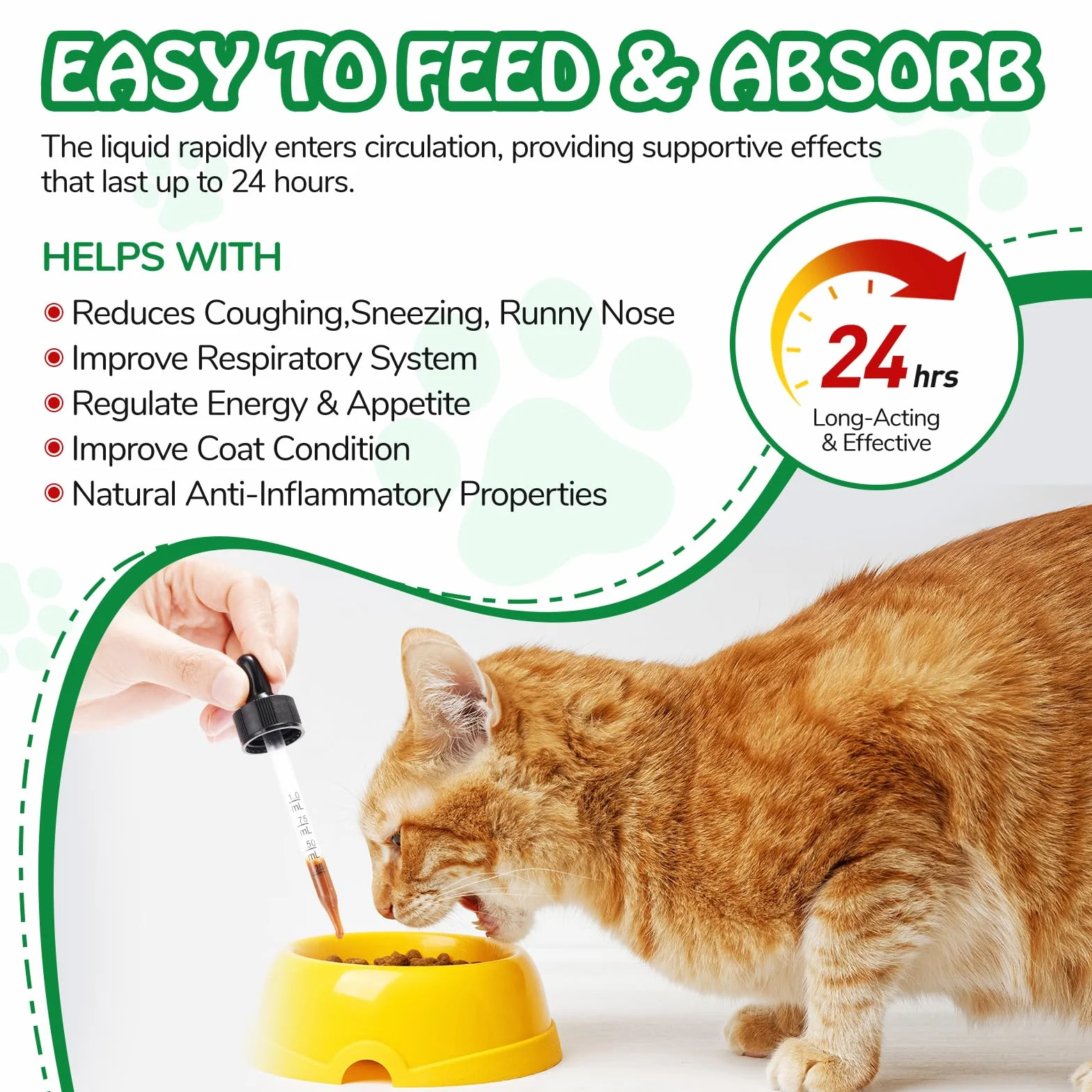Antibióticos Naturales para Gatos, Antibióticos para Gatos, AntibióTico Natural para Gatos cistitis, Apoyo inmune y Cats Allergy Itch Relief, Health Supplies Cat UTI Antibióticos, 60 ml