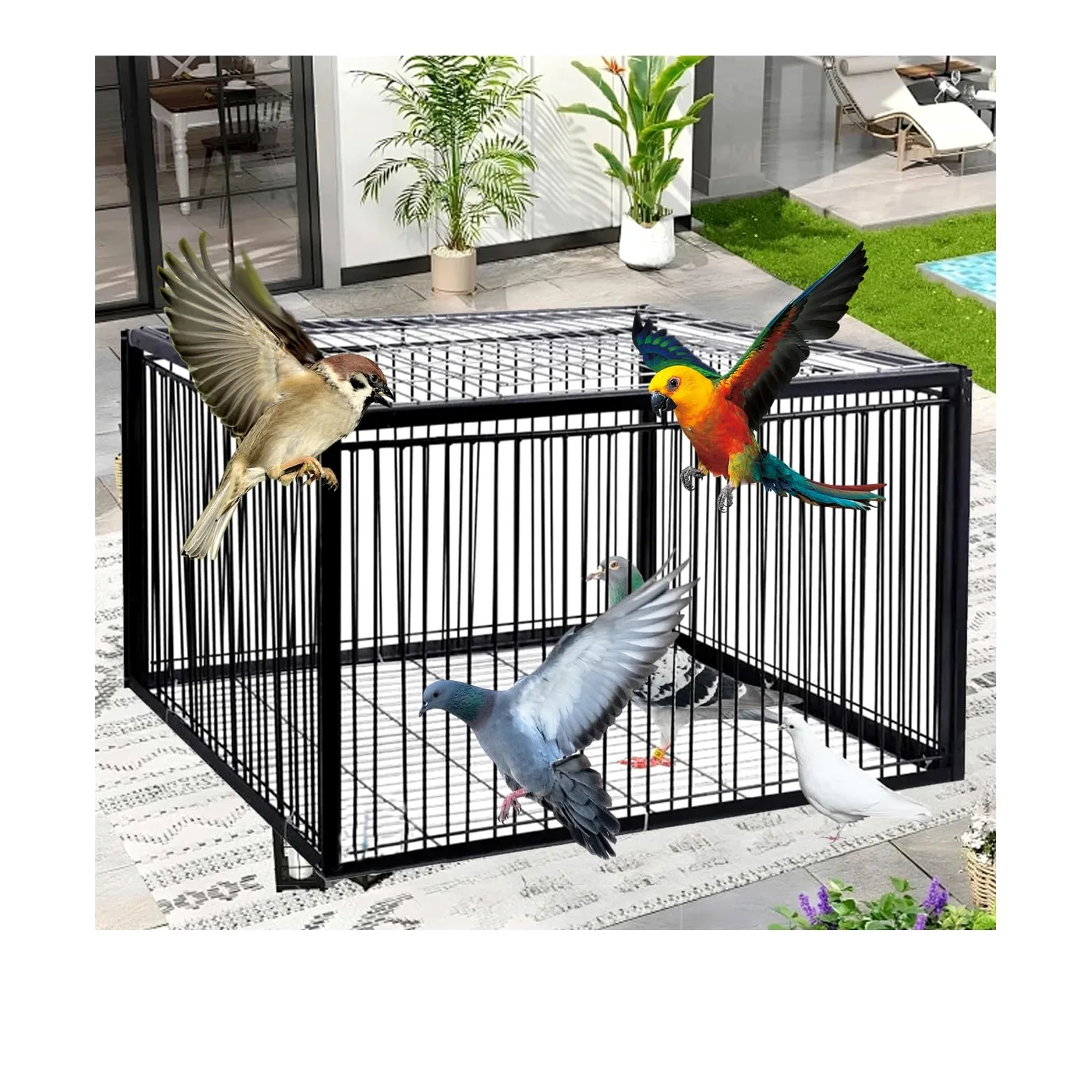 Jaula for Palomas Unidireccional Jaula Trampa for Jaula for Palomas, Trampa for pájaros, Jaula con Entrada unidireccional de Cuatro Canales(Black,60 * 40cm)