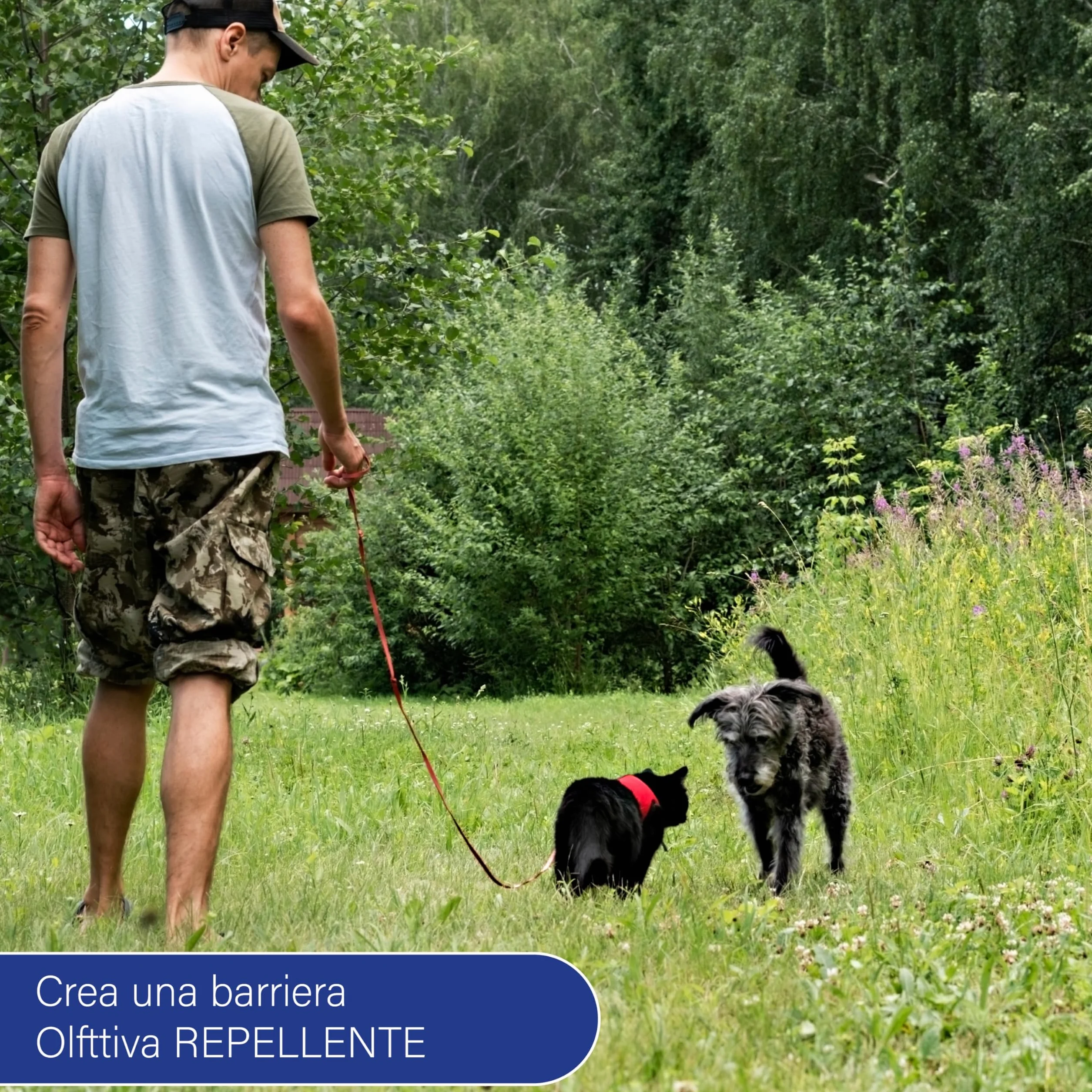 AGRI-CULTURA® | Ahuyentador para perros y gatos 1L antiorina | Repelente para perros y gatos antiorina listo para usar | Barrera natural para desacostumbrar a perros y gatos en casa y jardín.