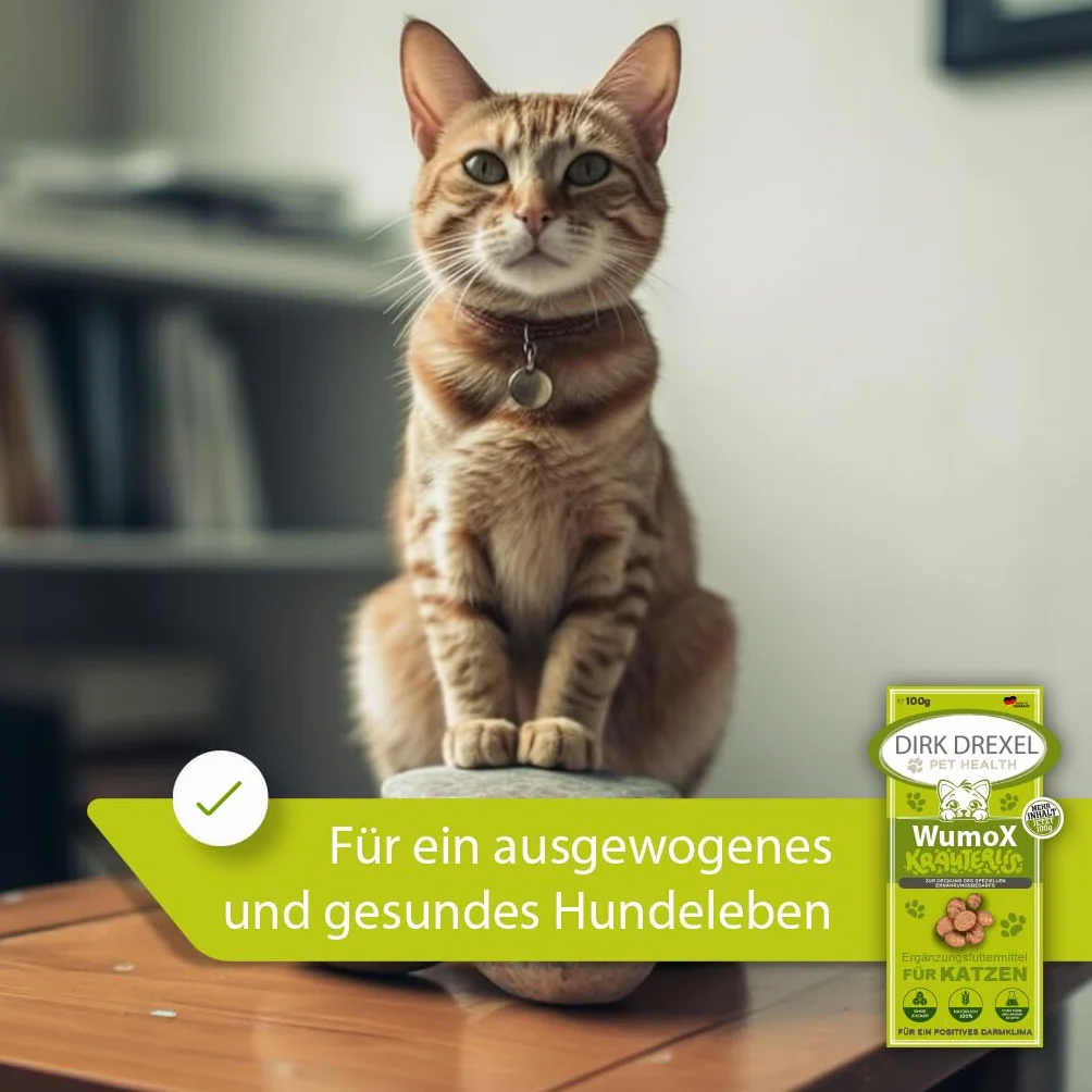 WumoX Herblis para Gatos | Trata con extractos de Hierbas | nutrición Natural para Fortalecer el Medio intestinal | con vermut Real | Alternativa Natural
