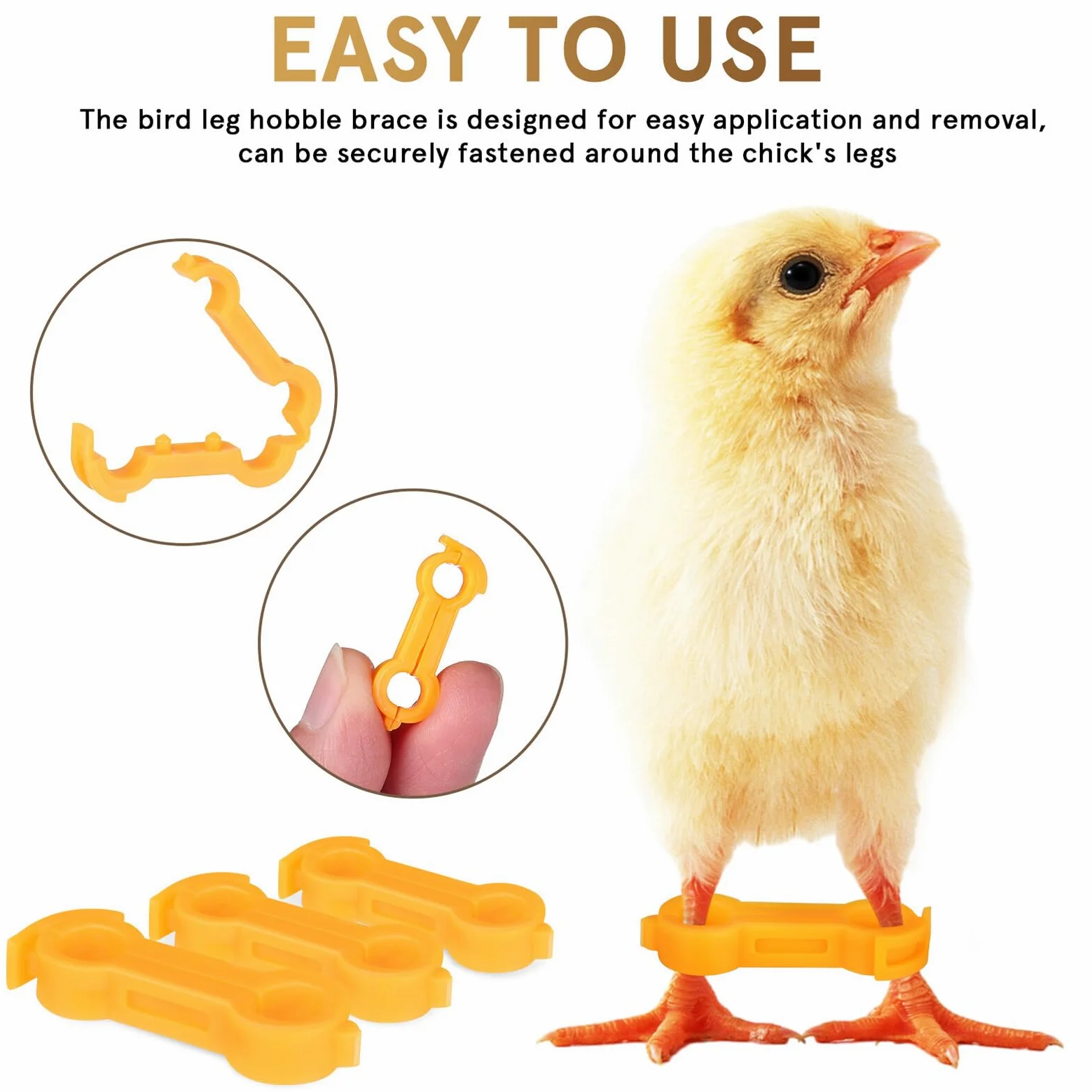 12 Piezas Corrector para Patas de Pollito de Anillos Soporte Científico para Corrección de Patas Abiertas Aves Pequeñas y Pollitos y Fácil de Limpiar