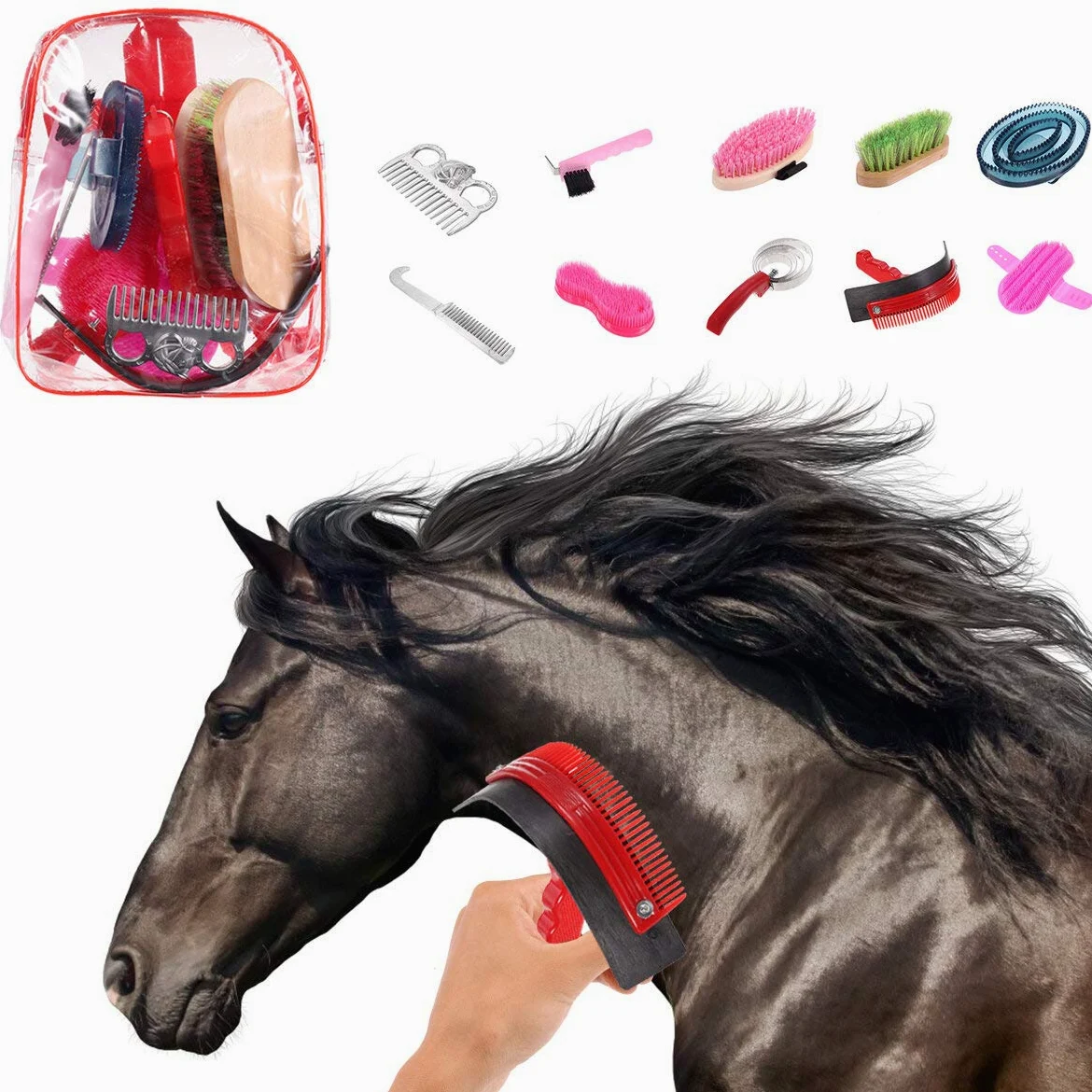 10 piezas Cuidado de Caballo Kit Ecuestre Raspador Cepillo Peine Caso de Transporte