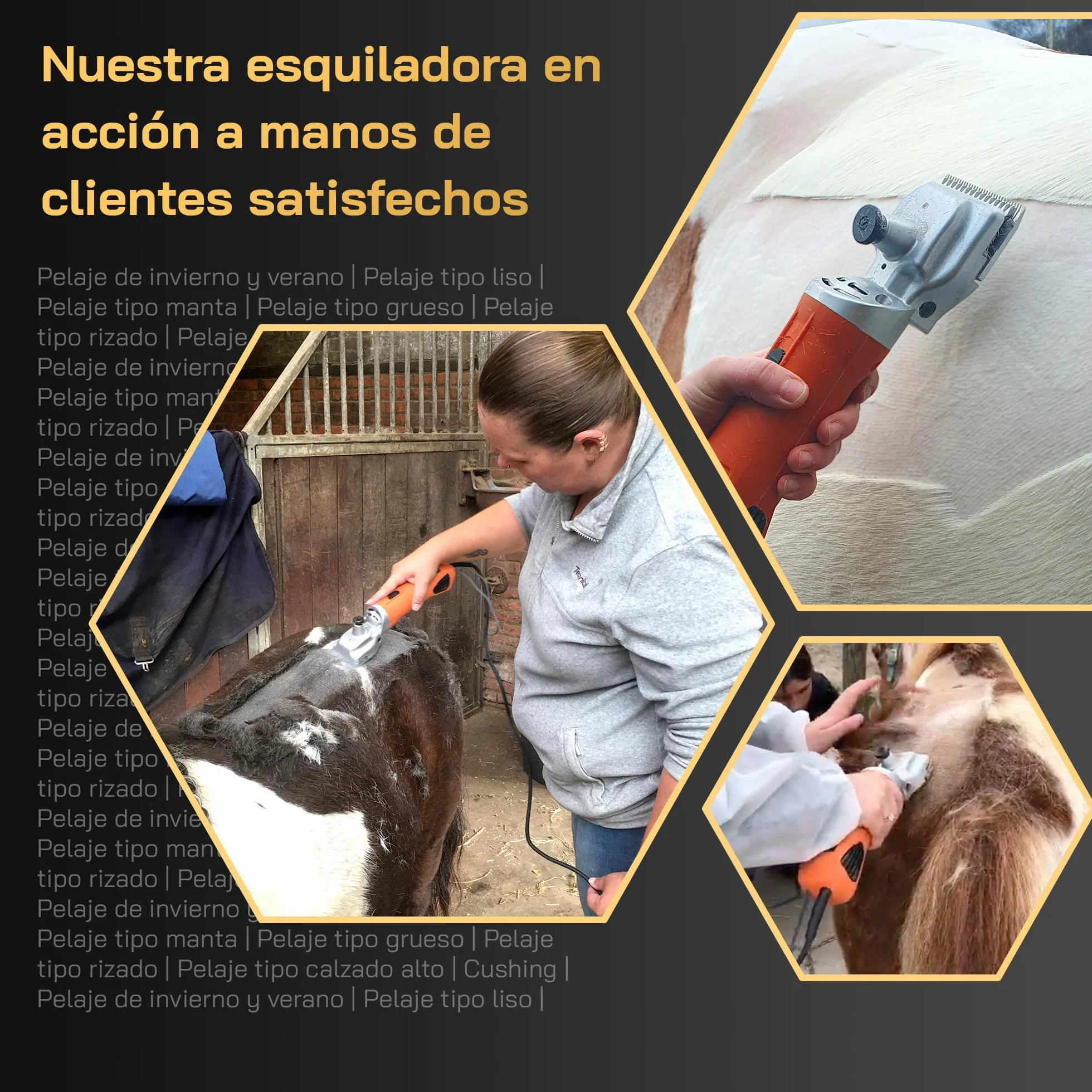 Esquiladora Caballos - Con cuchillas intercambiables – Silenciosa y de bajas vibraciones – Tranquilidad para el caballo – Adecuada para todo tipo de pelajes y partes del cuerpo