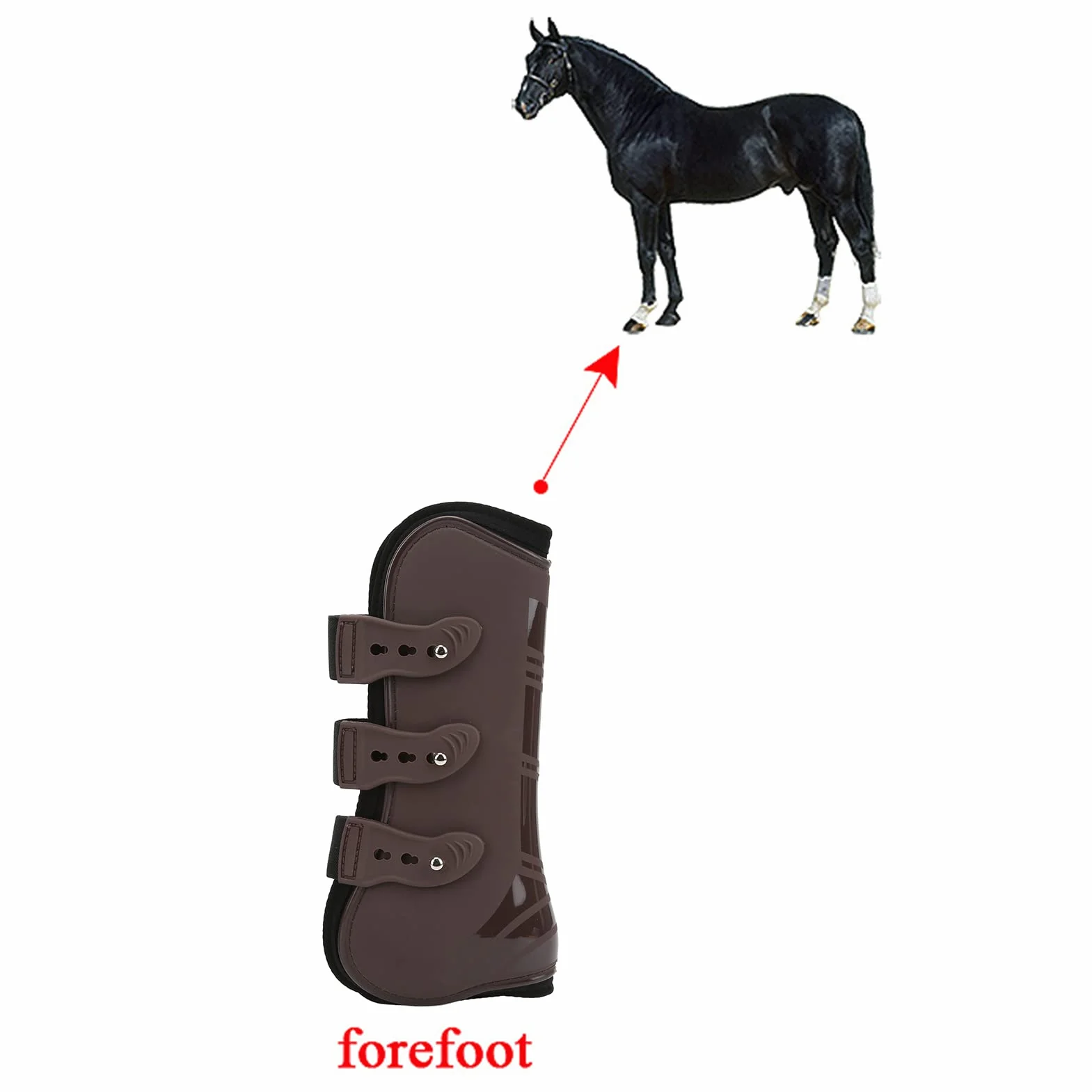 Cyrank 2 Botas Protectoras para Tendón De Caballo, Botas para Caballos, Patas Delanteras, Botas De Soporte para Patas Delanteras De Caballo, Entrenamiento De Resistencia (L)