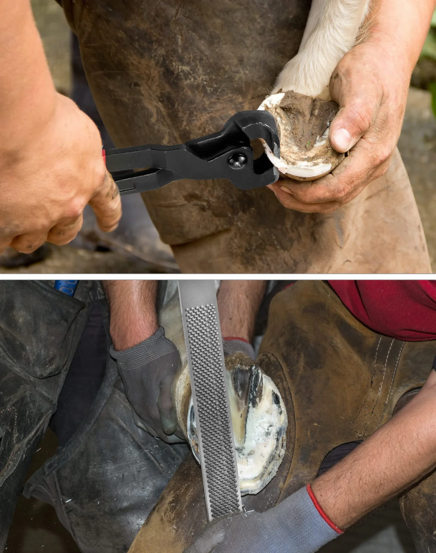 QWORK® Juego de 3 Herramientas de Herrador para Cuidado de Cascos, Cuchillo para Pezuñas, Cortadora y Escofina para Recorte y Limpieza