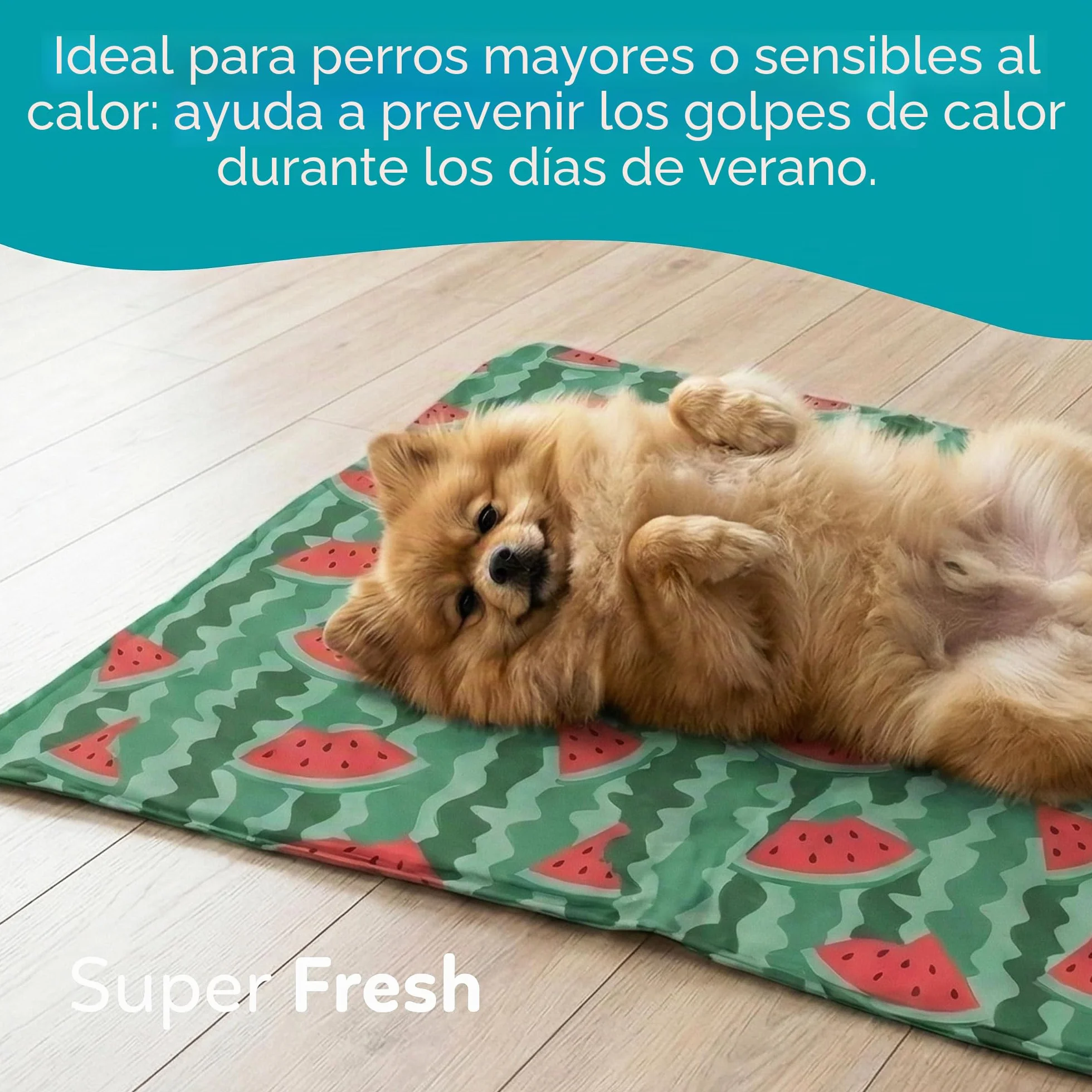 AQPET AqpetFriends - Alfombrilla refrigerante refrescante para Perros, Gatos y Animales, con diseño de Frutas, 60 x 50 cm