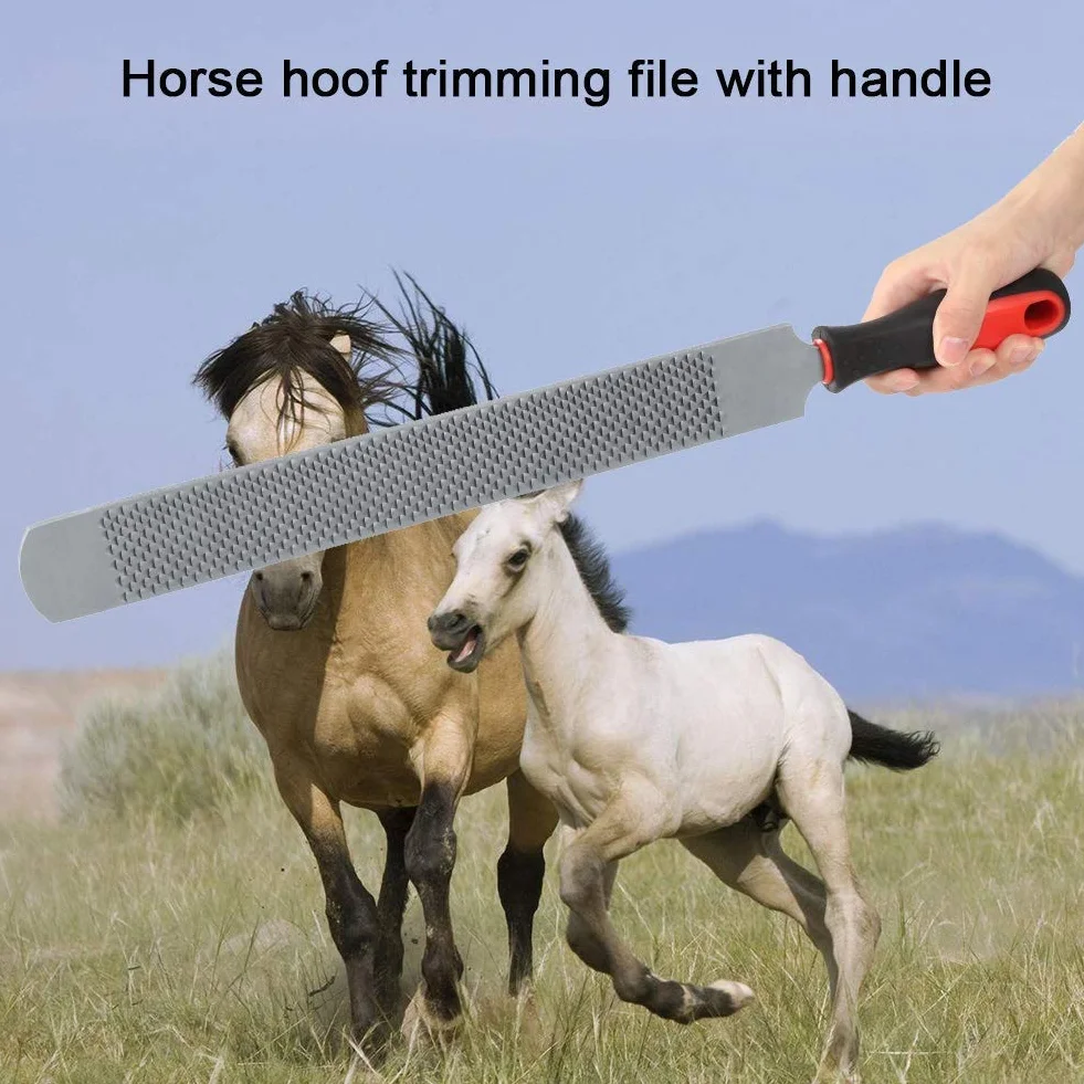 Zerodis Herramientas de Corte de pezuña Raspador de pezuña de Doble Cara Archivo de pezuña de Caballo Cuidado de pezuñas para Caballos Herramienta Profesional de herrador
