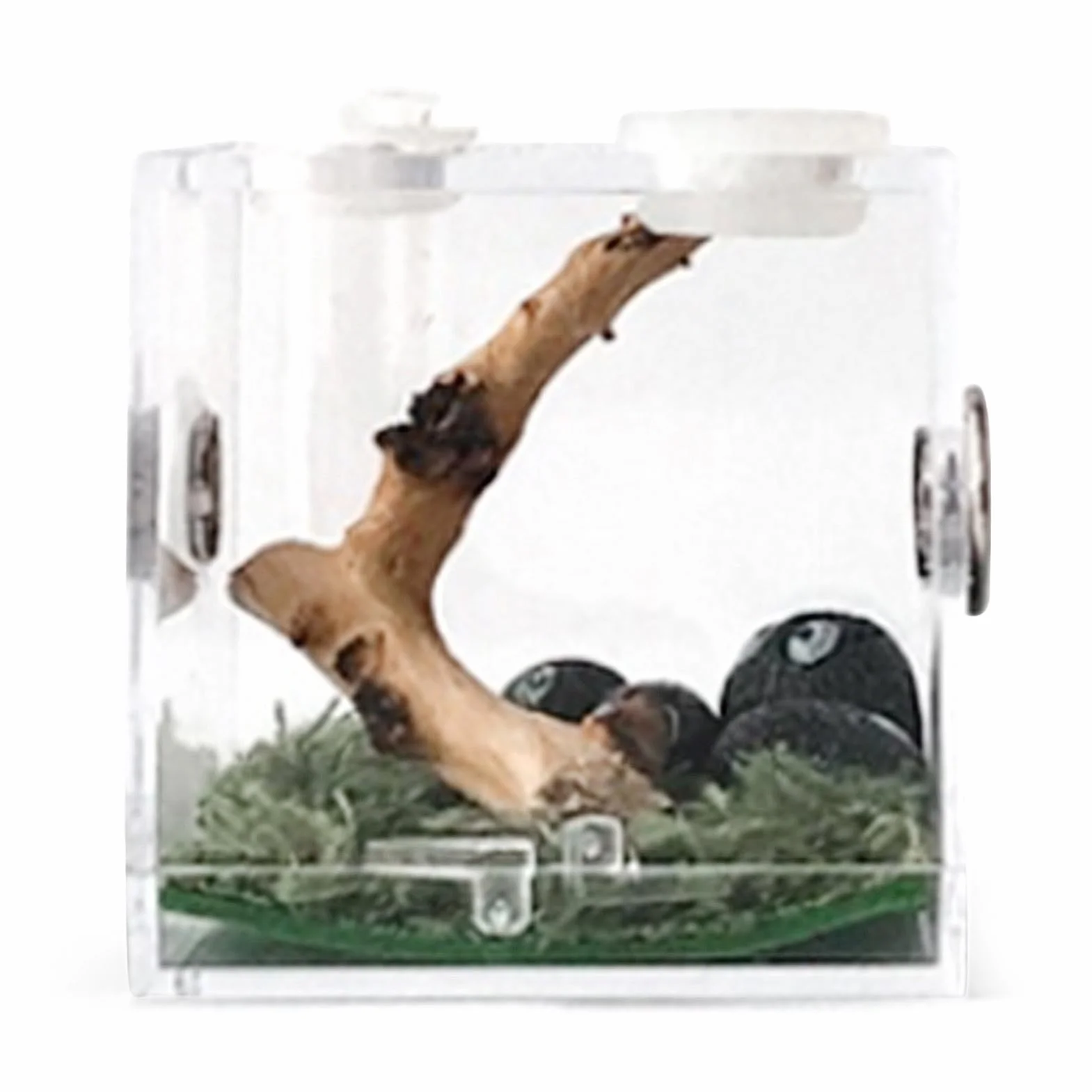 Caja de cría de 1 Piezas - Acrílico Transparente Reptil Habitat Case, para Spider Lizard Geckos Caracoles,Estuche de Terrario para Mini Mascota, Serpiente, Araña, Tarántulas, Molino