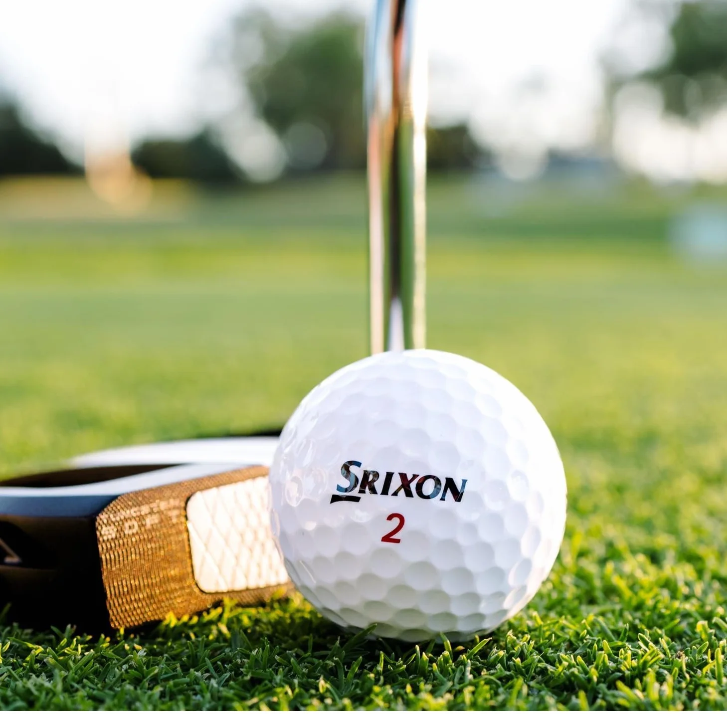 Srixon Z-Star XV Bola de Golf Ultra Performante Distancia Máxima Spin Optimizado FastLayer DG Core 2.0 Spin Skin+ Blanco Amarillo