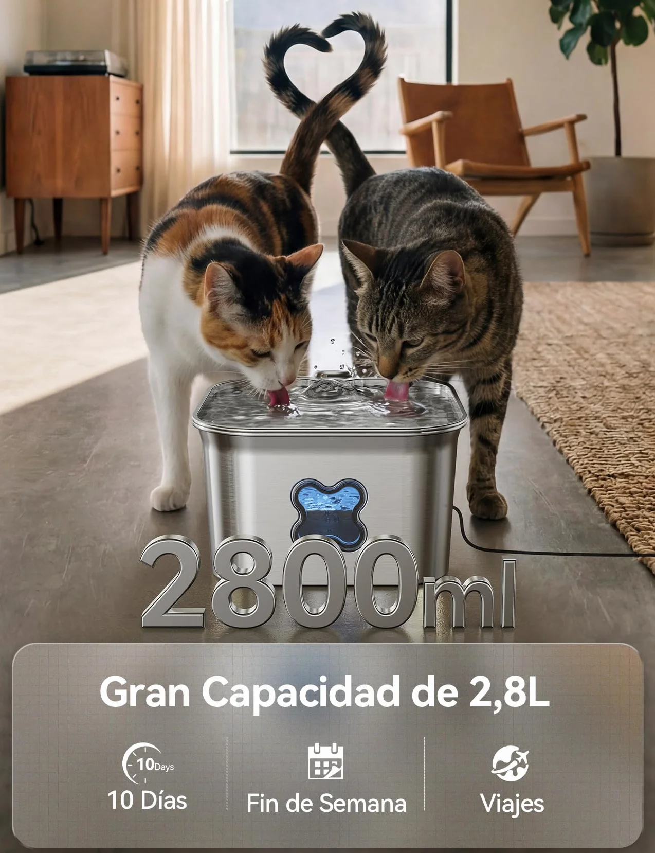 FEELNEEDY Fuente para Gatos Acero Inoxidable 2,8L, Bebedero Gatos con Cable y Filtración de Cuatro Capas, Fácil de Limpiar, Apta para Lavavajillas