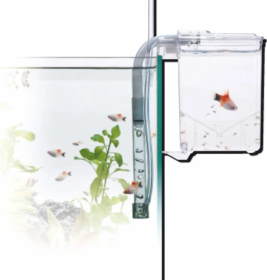Amtra Esterba Hang On Acuario Sala de Partos, Bandeja de Aislamiento Externa, para Gestación, Eclosión de Huevos, 1.5 L, 16 x 13 x 16 cm