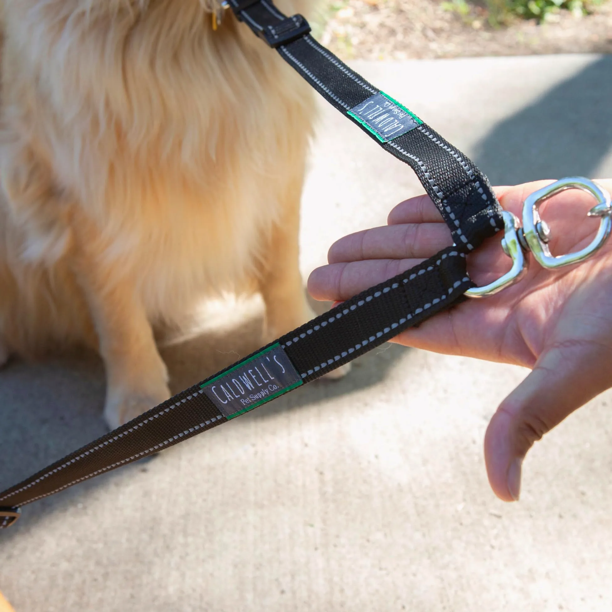 Caldwell's Pet Supply Co. No Perro enredo acoplador Correa de Perro, Perro Doble de Walker - Trainer Correa - Dos Perros Divisor Ajustable Resultado: 1 X 11-20 Pulgadas