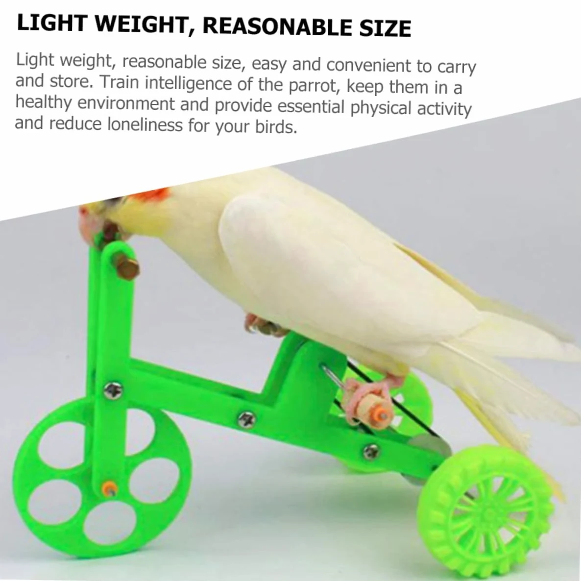 Beaupretty Anillo Loros 4 Juegos Bicicleta Loro Juguetes Educativos Xuan Feng El Plastico El Pájaro Juguetes Interactivos para Loros