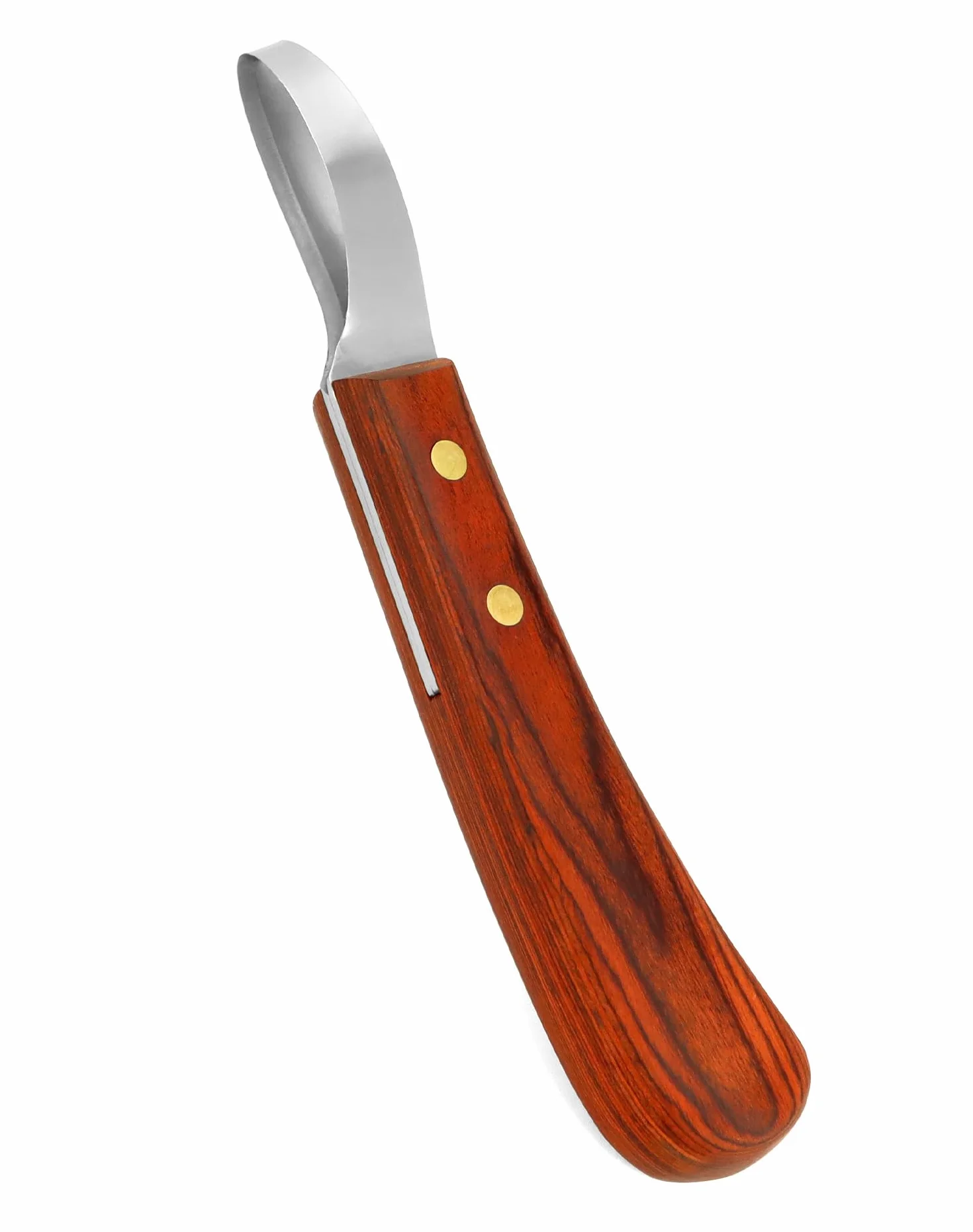 QWORK® Cuchillo para pezuñas de Acero Inoxidable de Primera Calidad con Mango, Cuchillo para bucles, Herramienta para Recortar pezuñas para Caballos