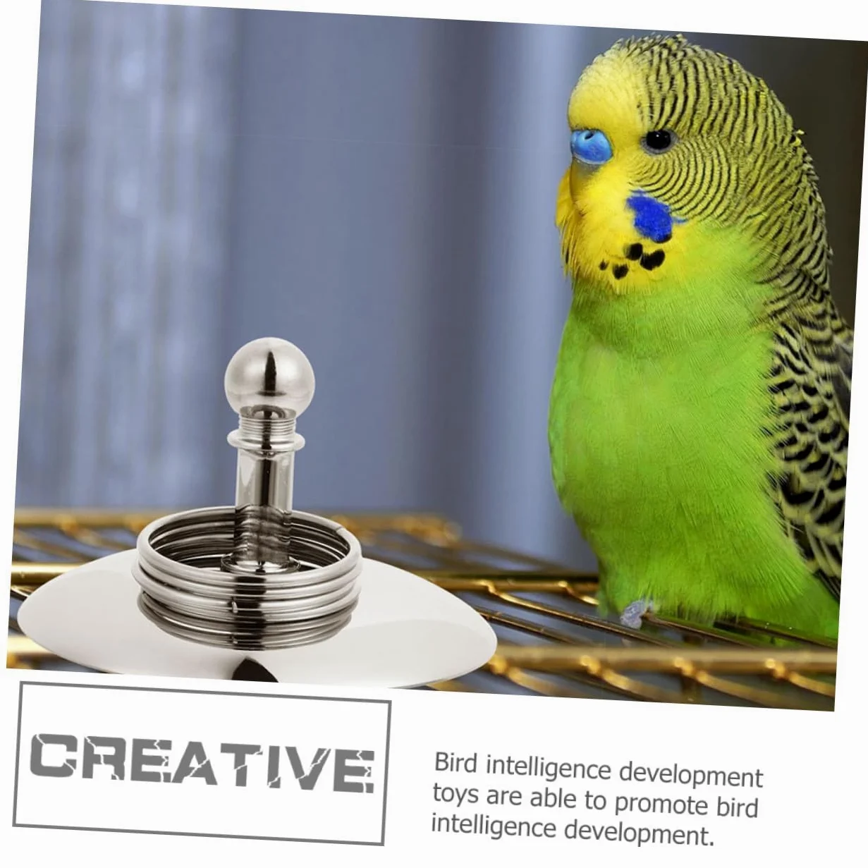 VANZACK 4juegos Juguete De Entrenamiento De Inteligencia para Aves Bicicleta y Anillo Interactivo para Periquitos y Loros para Estimulación Mental y Diversión Educativa