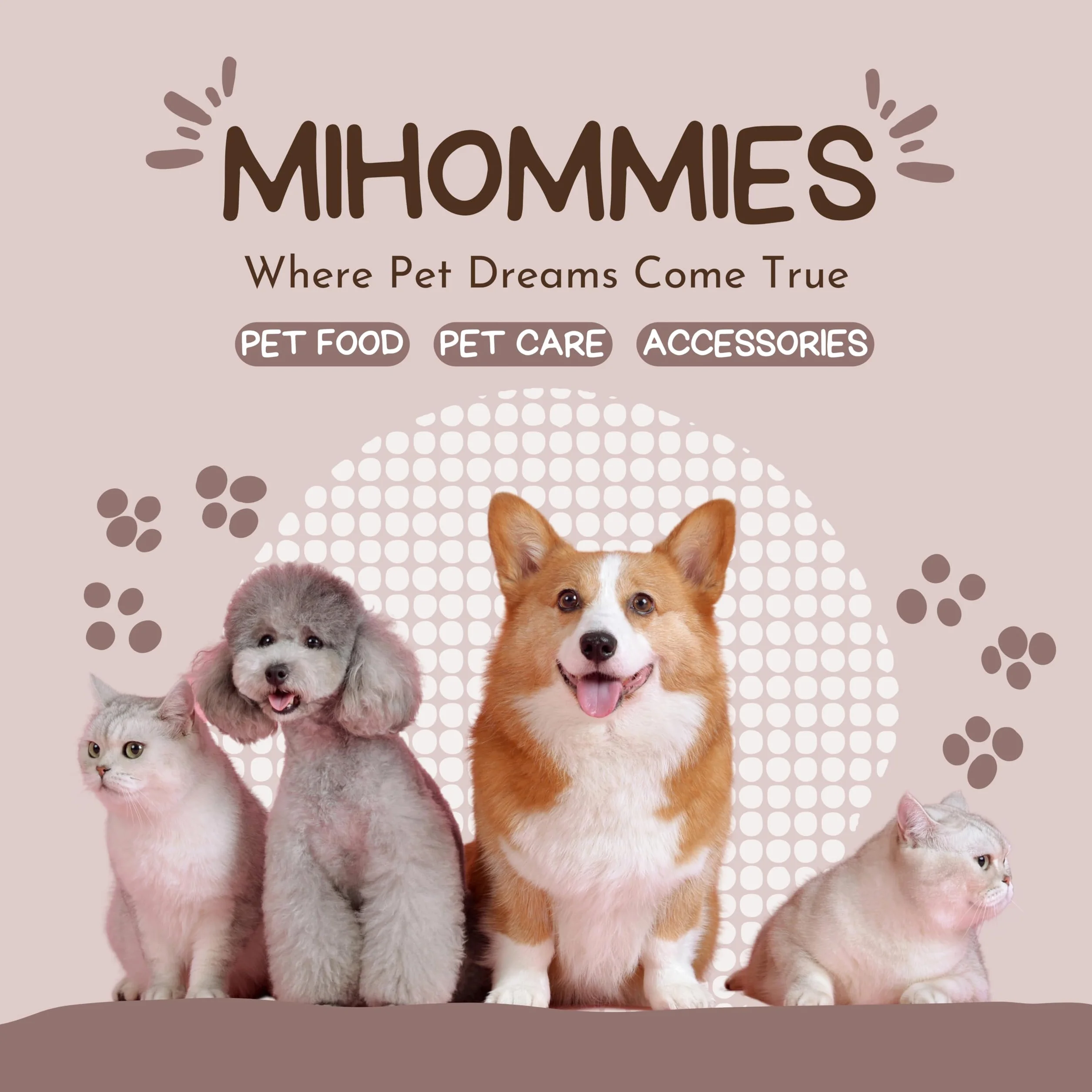 Comedero y Bebedero Gatos, Dispensador Comida y Agua Gatos y Perros Pequeños, Cuenco Acero Inoxidable, Agua 1.3L Comida 2.3L, Alimentador Mascotas 2 en 1