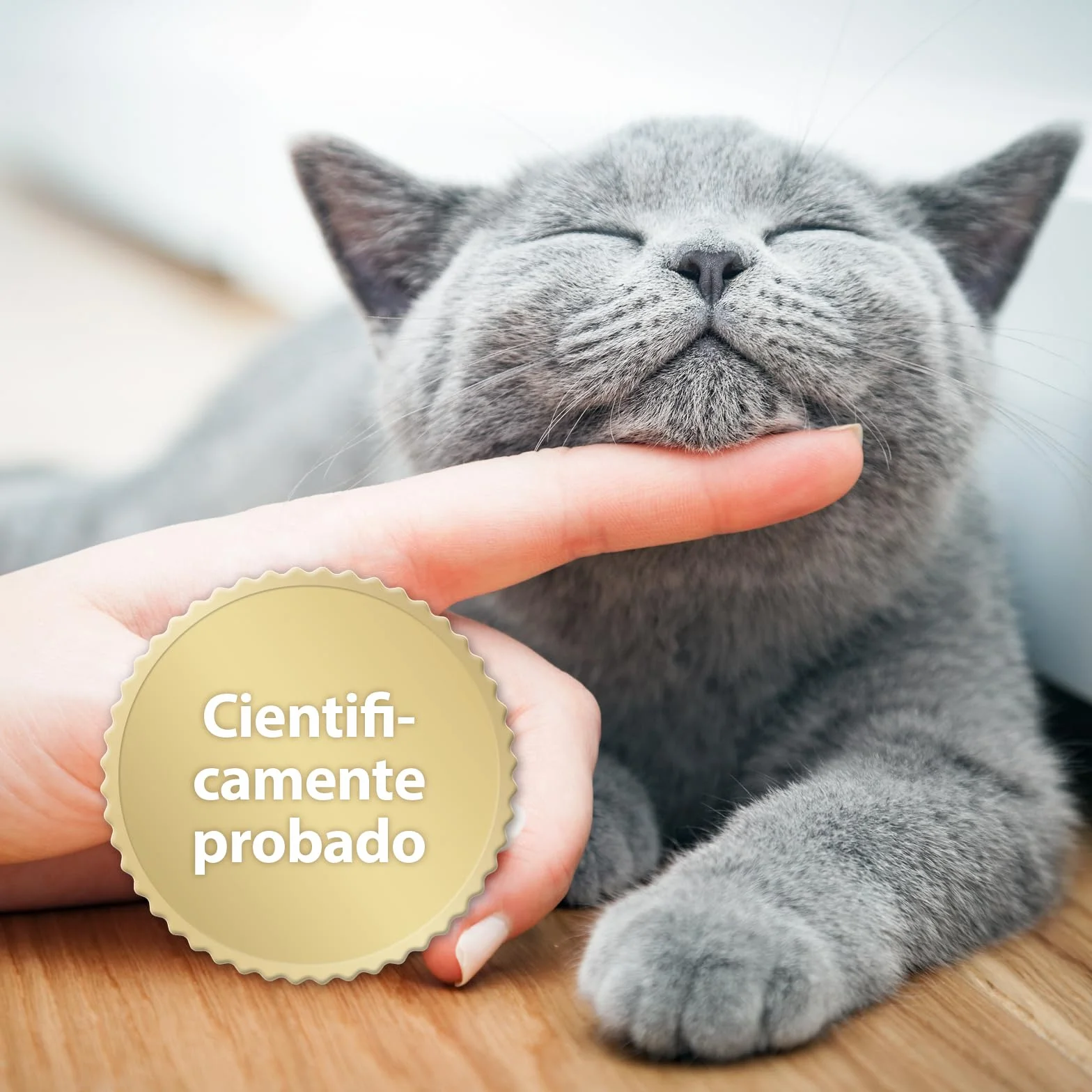 Felisept Home Comfort Spray antiarañazos gatos 100ml - Con Hierba Gatera Natural sin Feromonas para gatos - Reduce El Comportamiento Indeseable, El Estrés Y La Inquietud En Casa Y En Movimiento