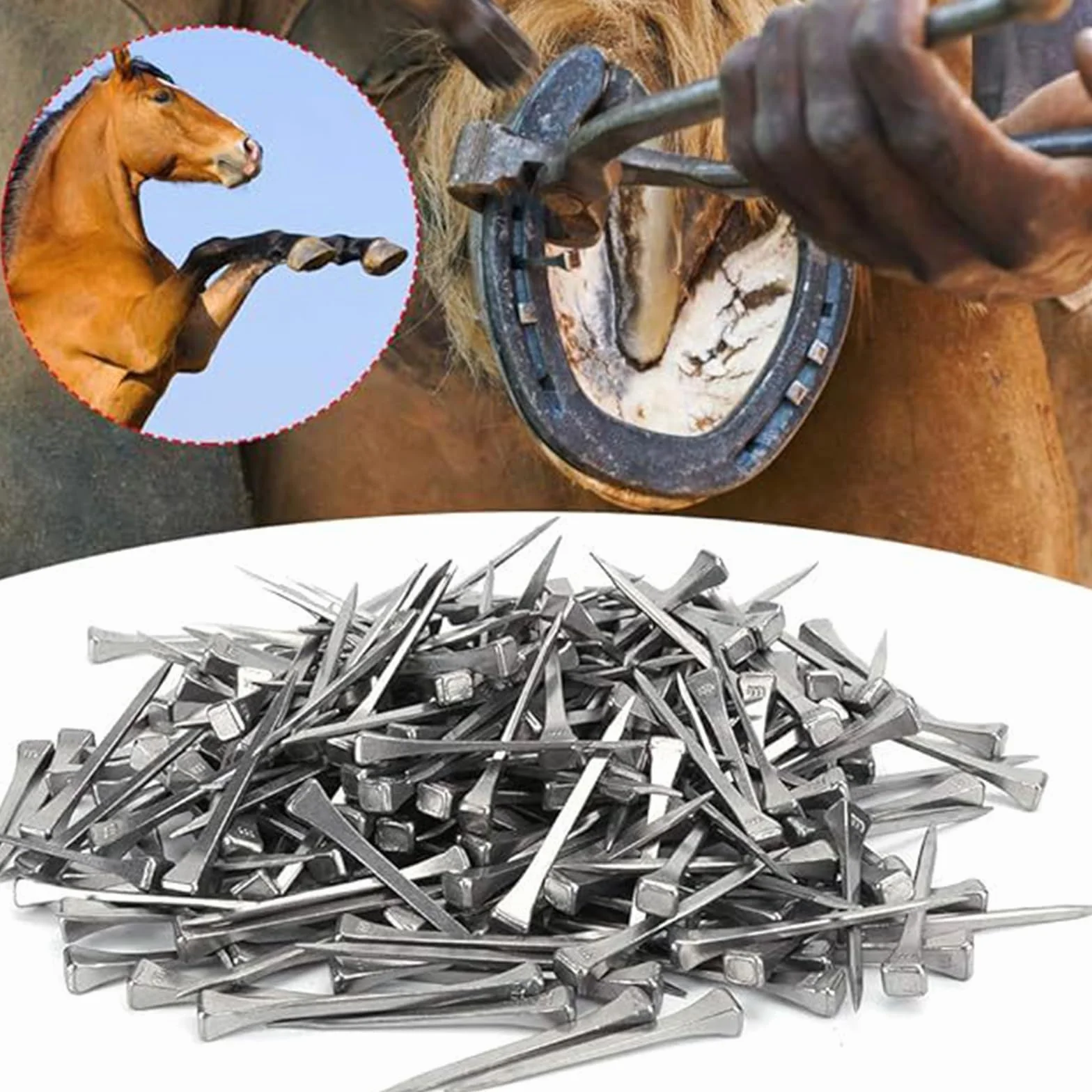 Clavos de Herradura,Material de Acero Des Clavos Des Caballo,Equipo Deportivo Ecuestre Acero,Clavo para Pezuñas,Clavo da Herradura da Aceros,Clave di Pezuña di Aceros