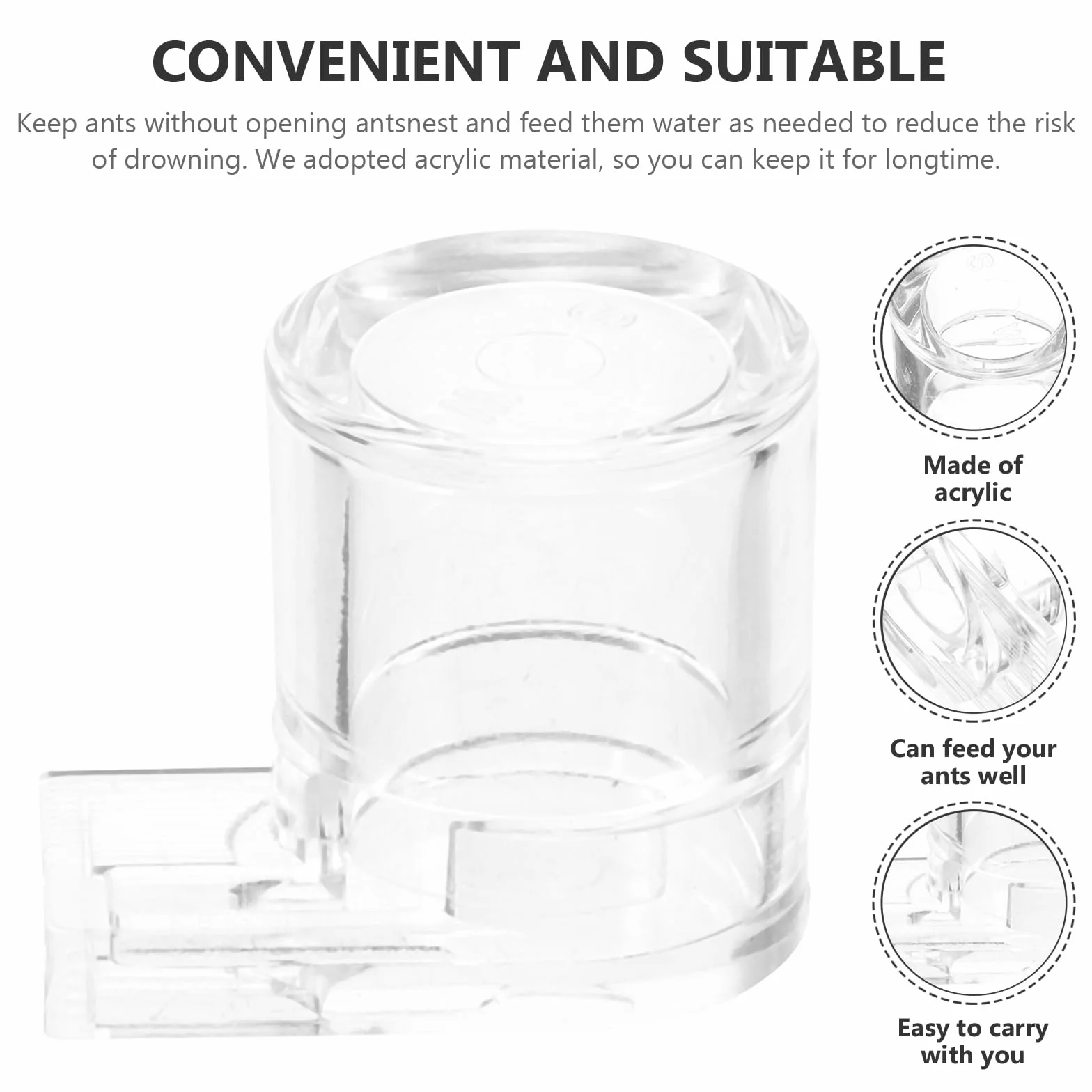 Kisangel Dispensador de Agua para Hormigas, Nido de Hormigas, de alimentación para Hormigas, Insectos, dispensador de Agua, dispensador de alimento para Hormigas, formicarium