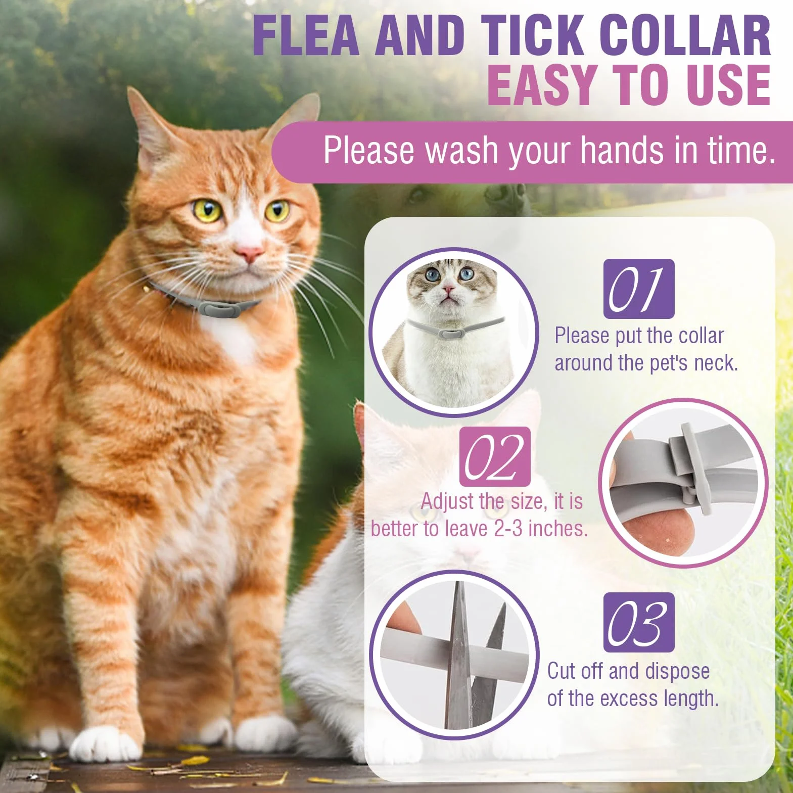 Collar Antiparasitario Gatos Collar Antipulgas Gatos 4piezas Collar Antipulgas y Garrapatas para Gatos Collar Antiparasitario 8meses de ProteccióN Duradera Impermeable TamañO Ajustable Collares Pulgas