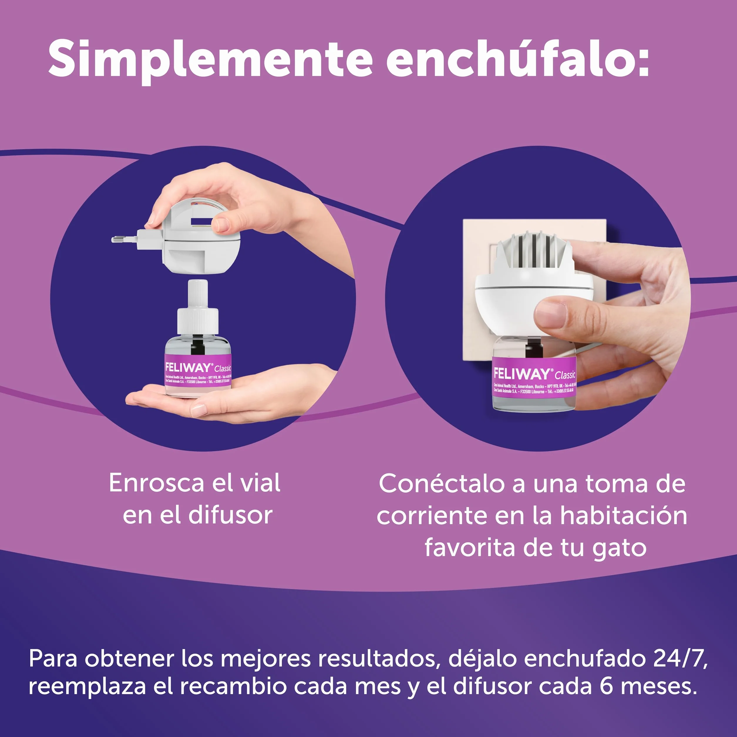 FELIWAY Classic - Difusor + Recambio de feromonas calmantes para gatos (30 días, 48 ​​ml) - Ayuda a reducir los signos más comunes de estrés. Recomendado por veterinarios. Tranquilidad y bienestar.