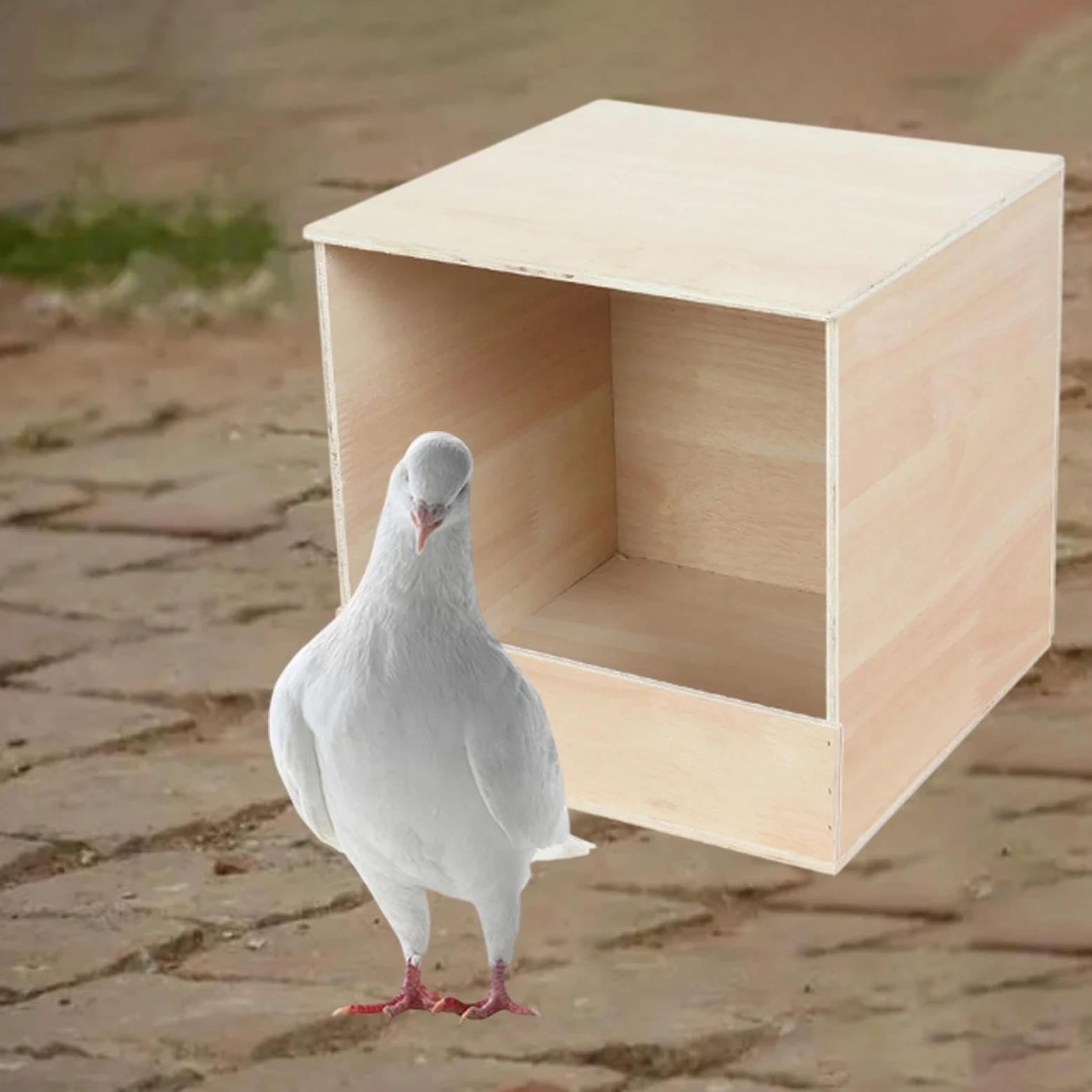 Caja de Anidación para Palomas Refugio de Madera para Reproducción Caja para Cría de Pájaros Recipiente para Comida para Aves Adecuado para Periquitos, Grande