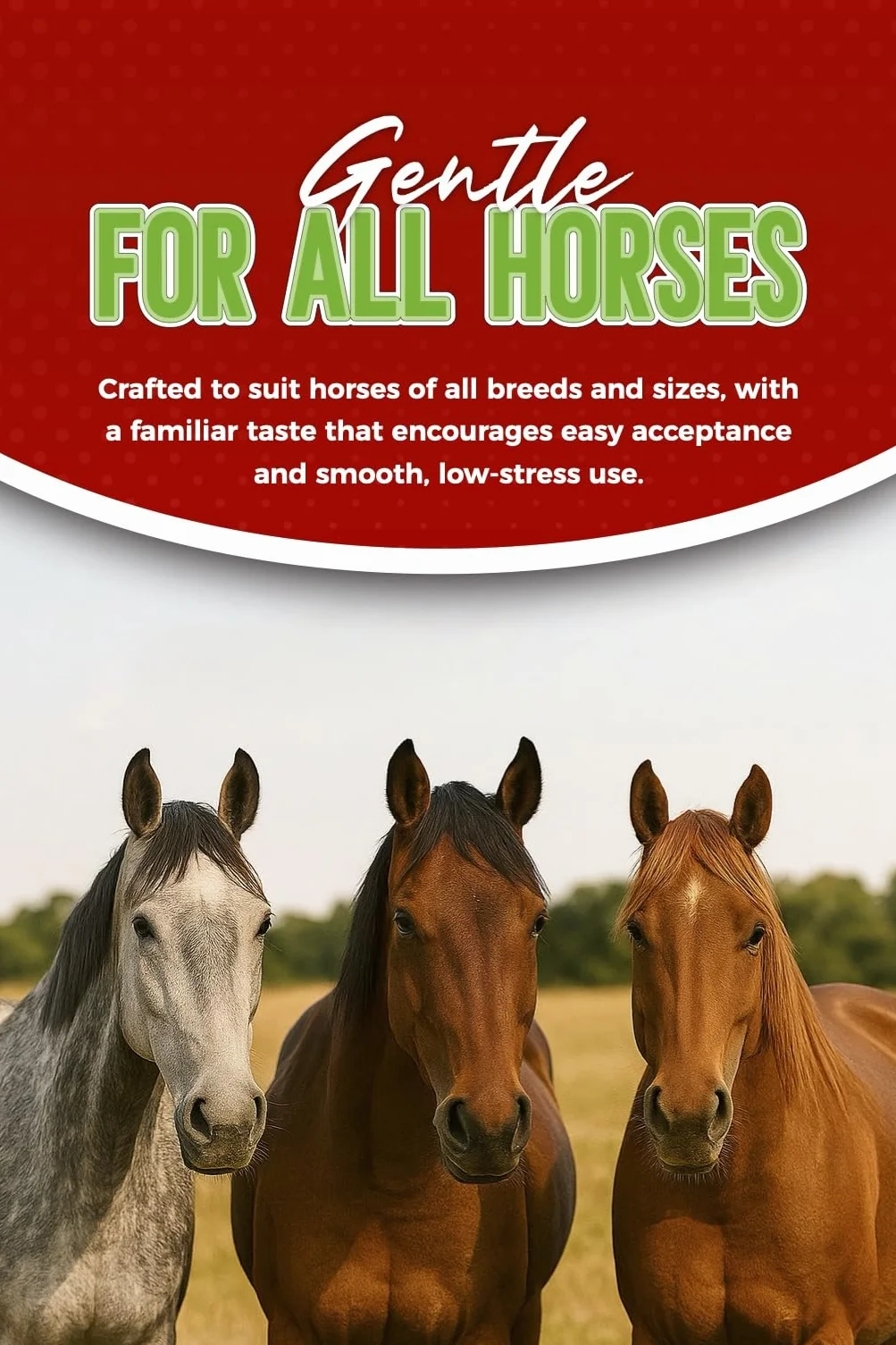 Ivermectin Horse Paste 1.87% Apple Flavor 6.08 g Tube for Horses up to 1200 lbs