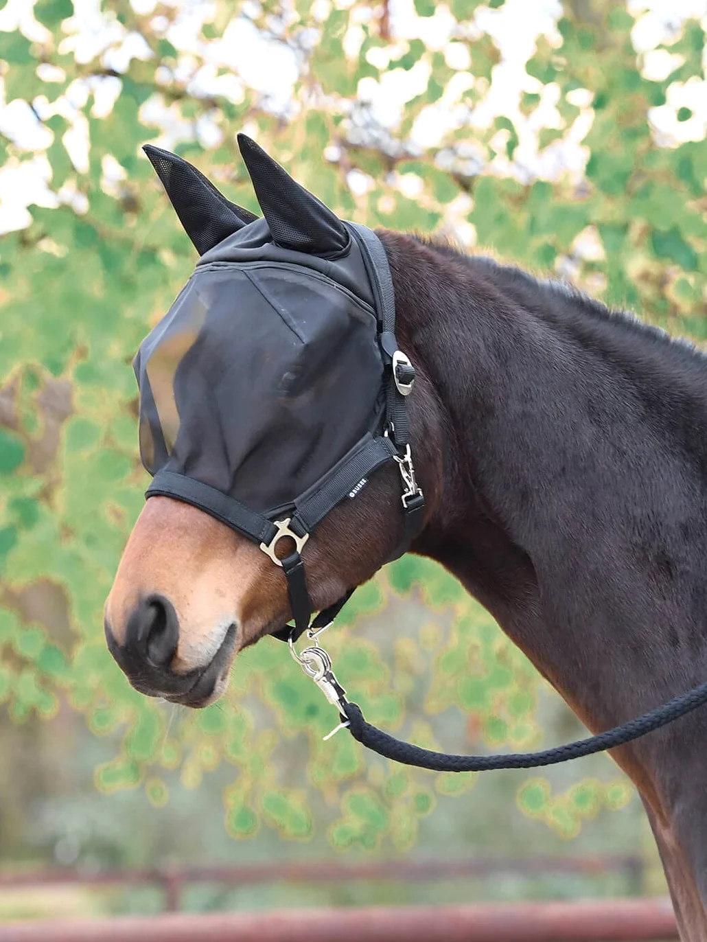 Busse Fast - Mosquitera, Unisex adulto, Pony, negro