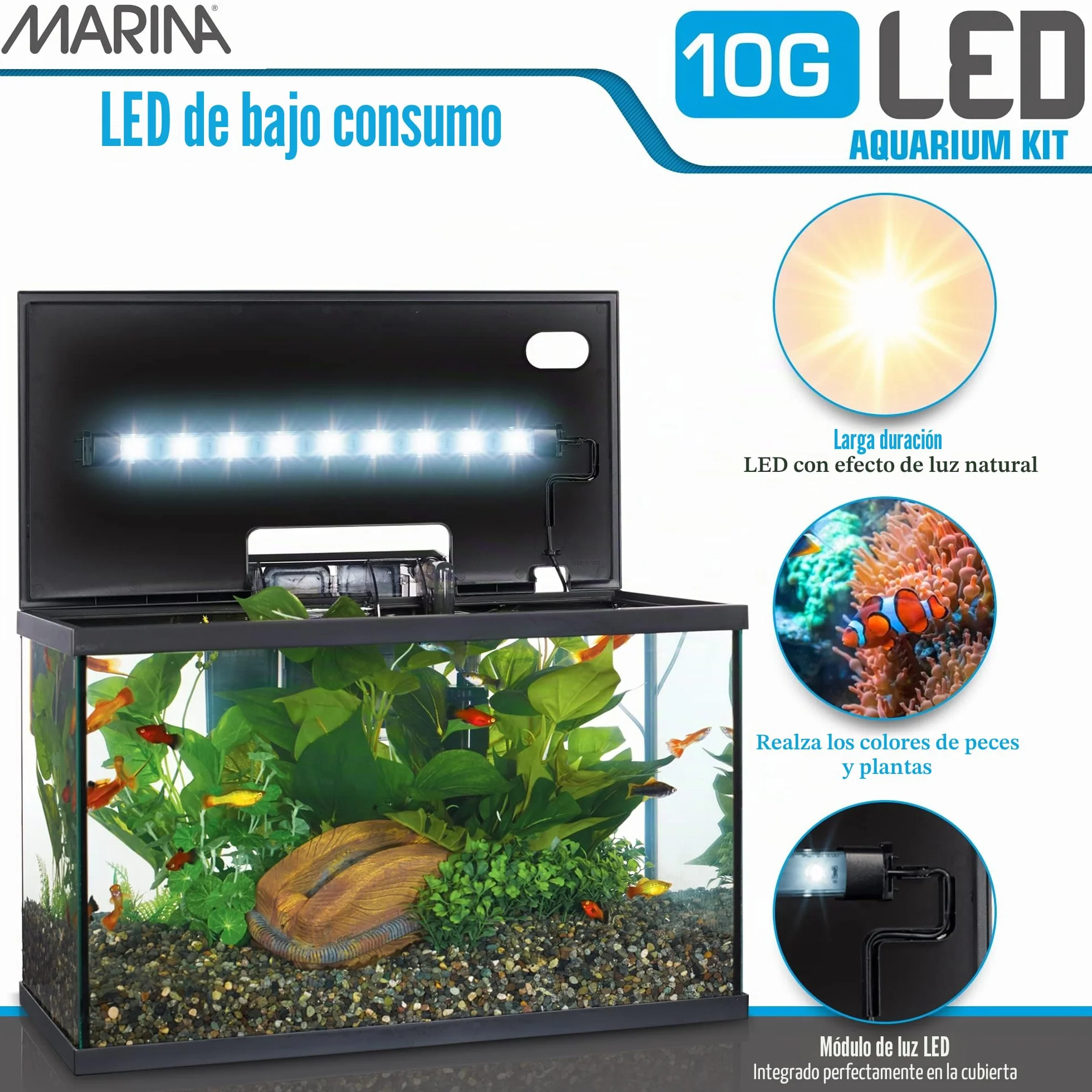 Marina 15256 - Kit de Acuario con Iluminación LED 10G, 38 L, Transparente