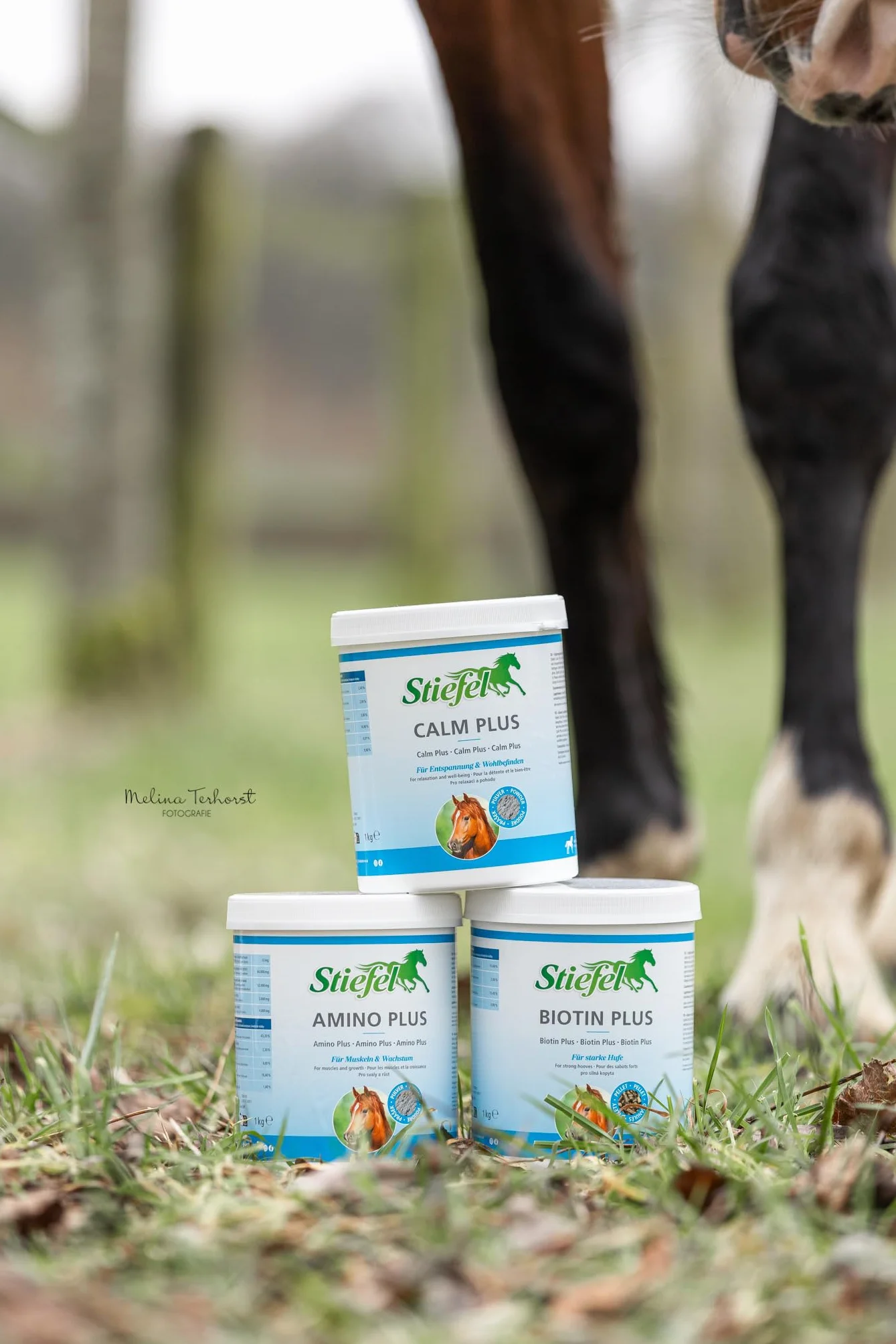 Stiefel Pellet de biotina, 1 kg