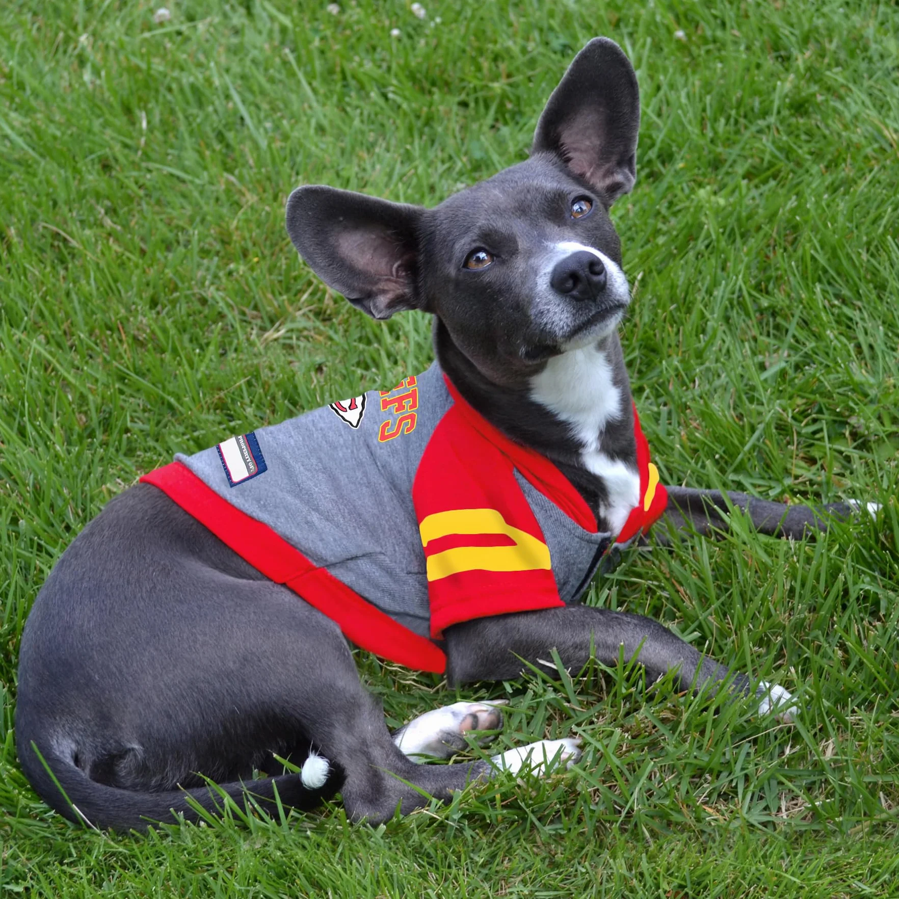 Pets First KCC-4044-XS NFL Kansas City Chiefs Sudadera con Capucha para Perros y Gatos, XS