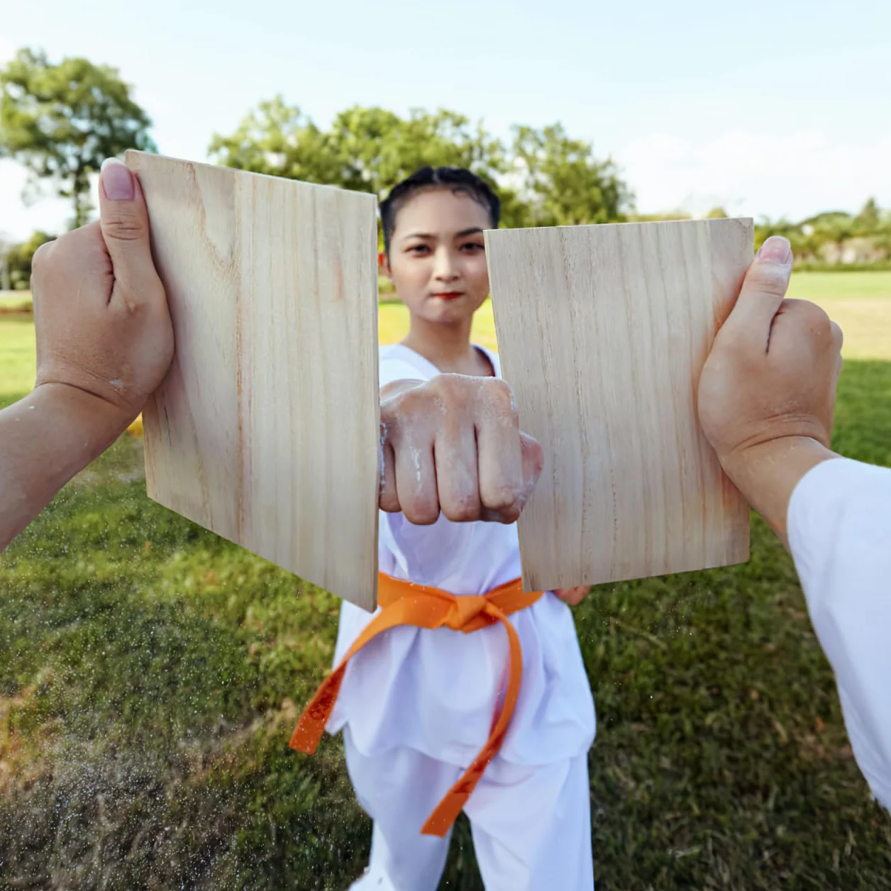 HANABASS Tablas de karate con polea para romper, equipo entrenamiento artes marciales mixtas, almohadillas perforadoras engranaje